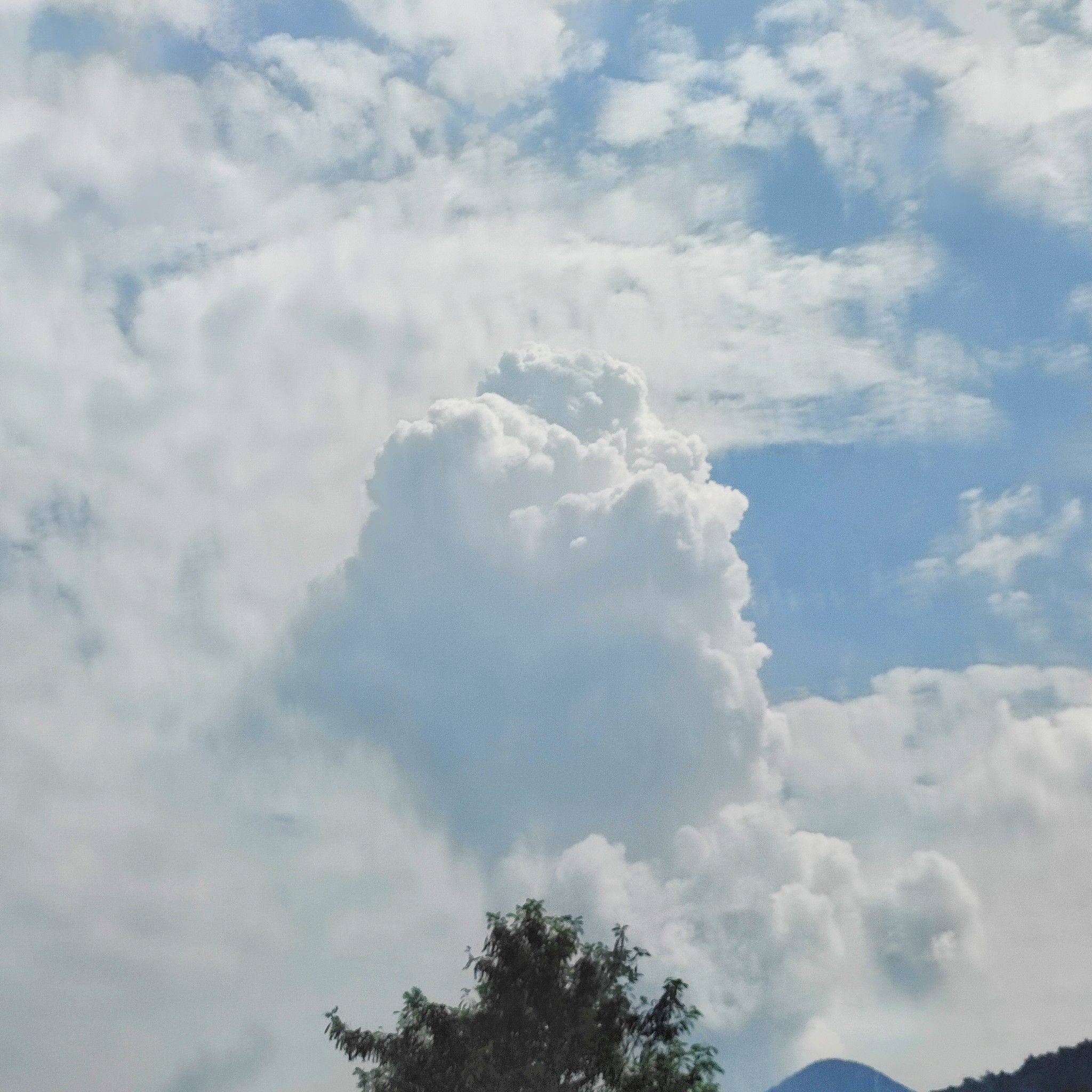 希望能尽快找到室友呀