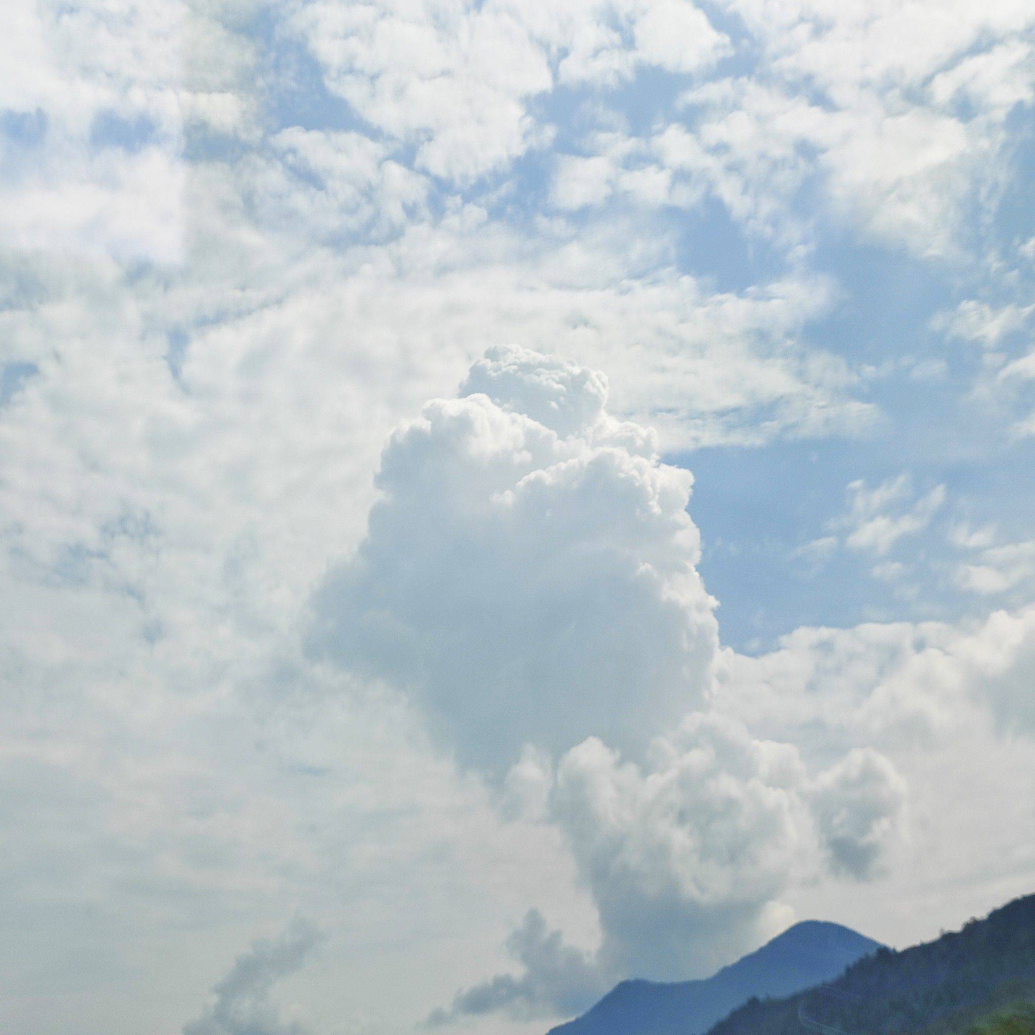 希望能尽快找到室友呀_1