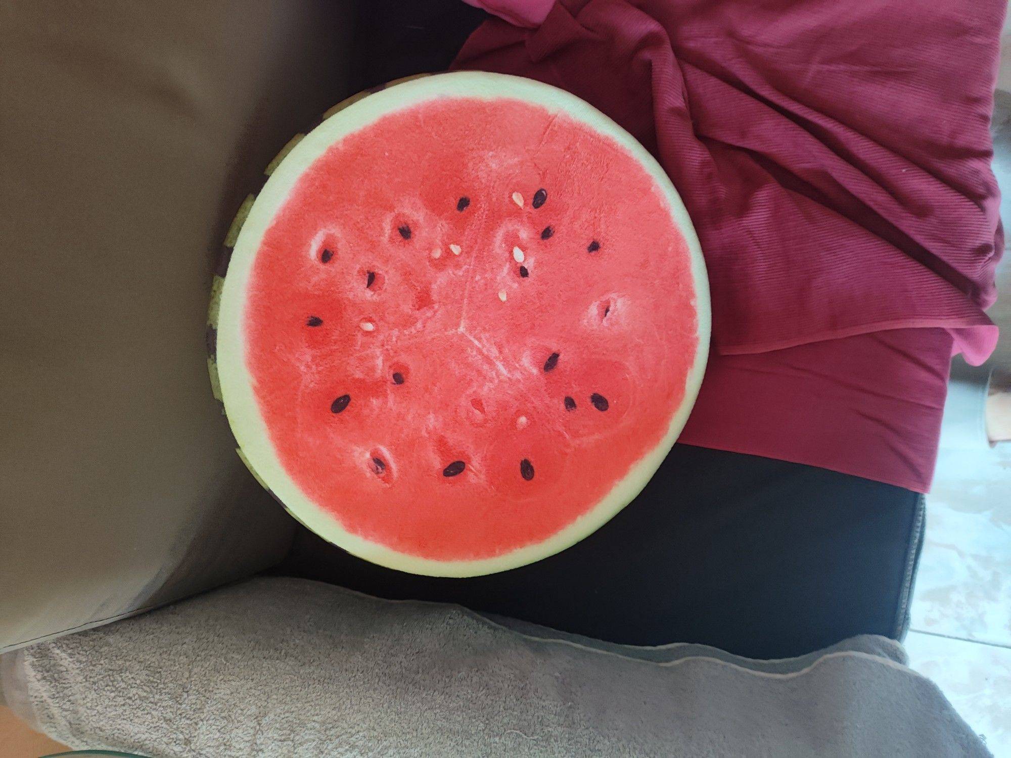 大🍉坐垫  哈哈哈哈哈 分享周末 