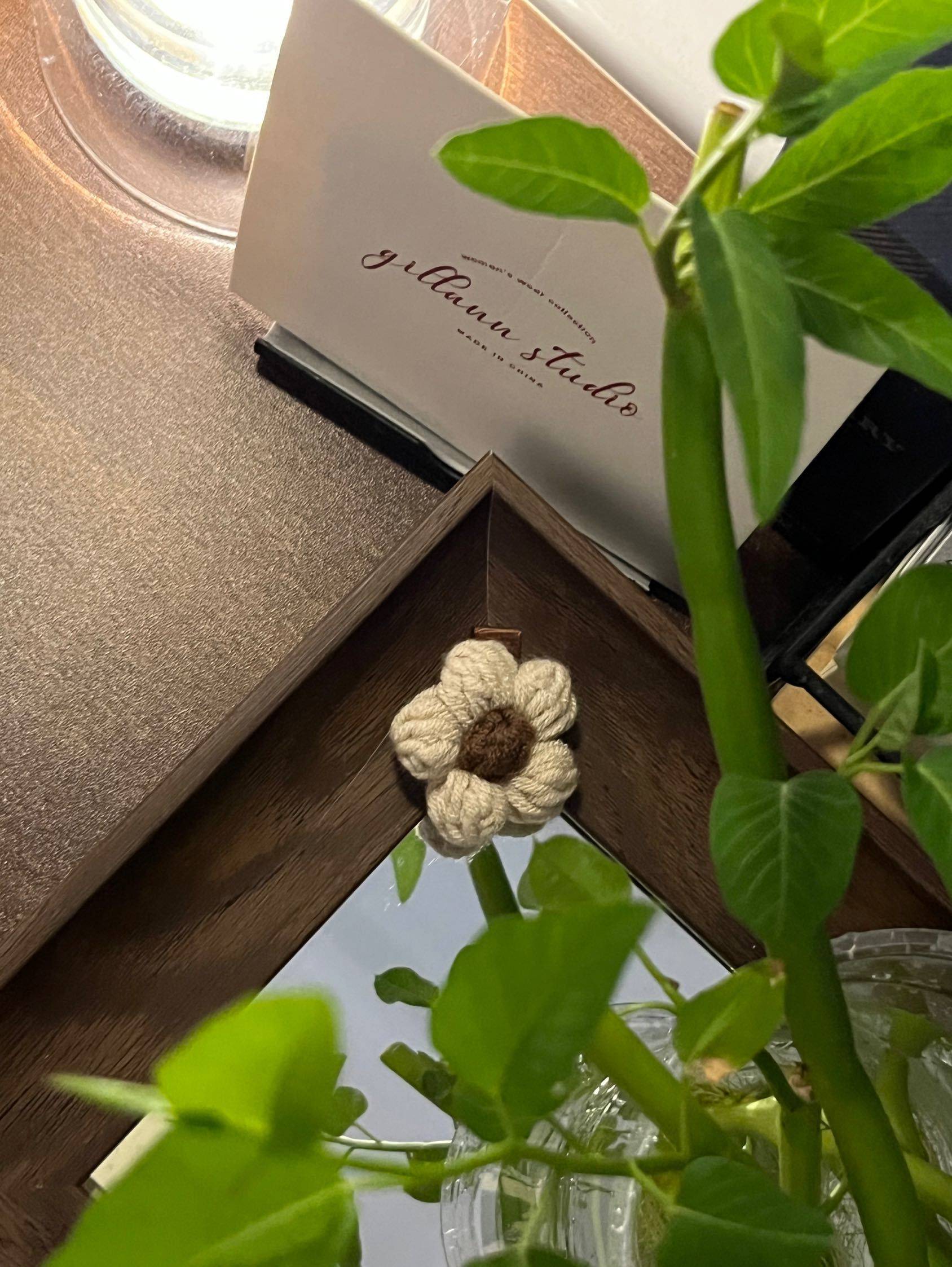 一名植物杀手放下了屠刀_1