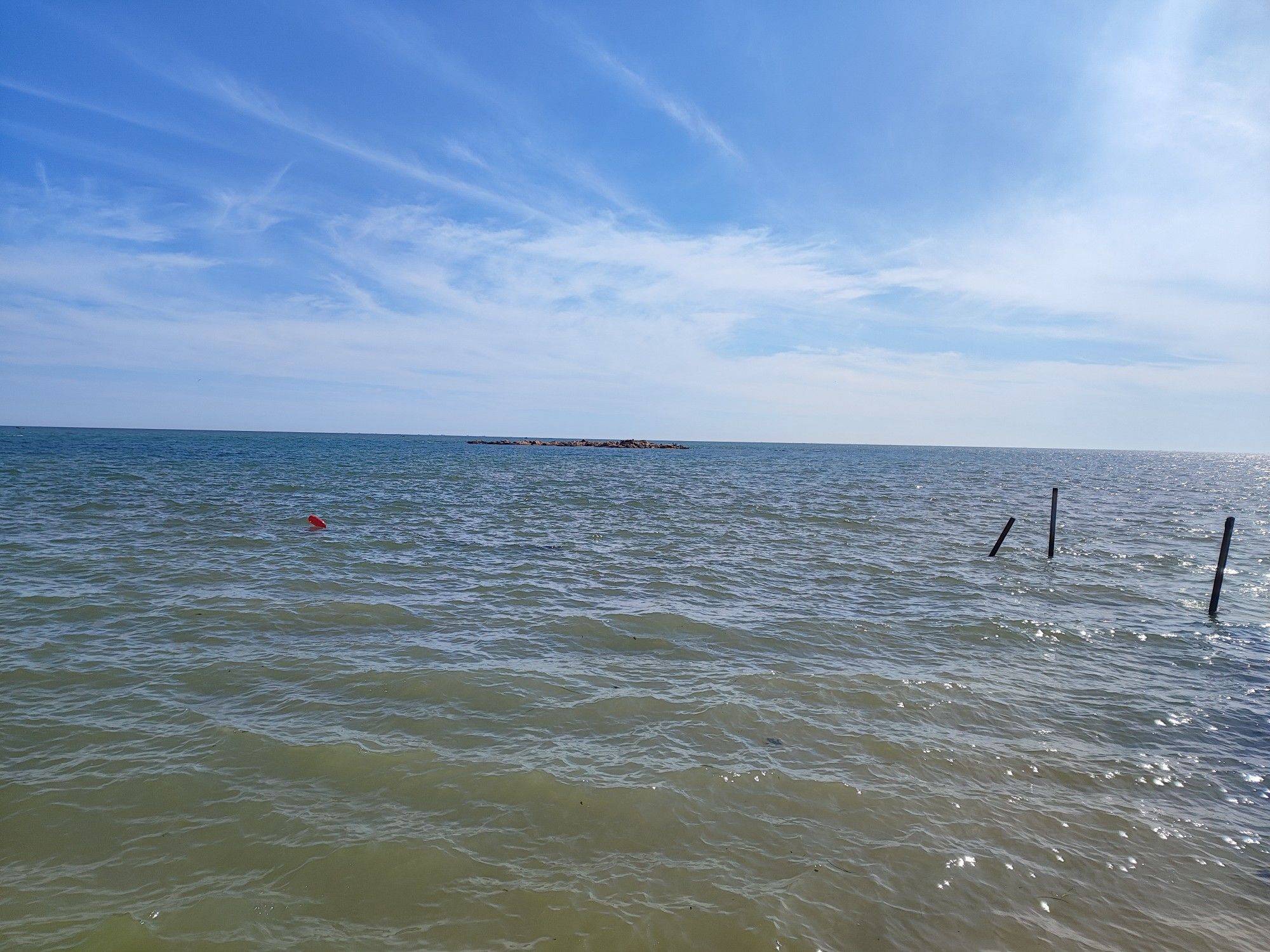 大海哈 完美室友 