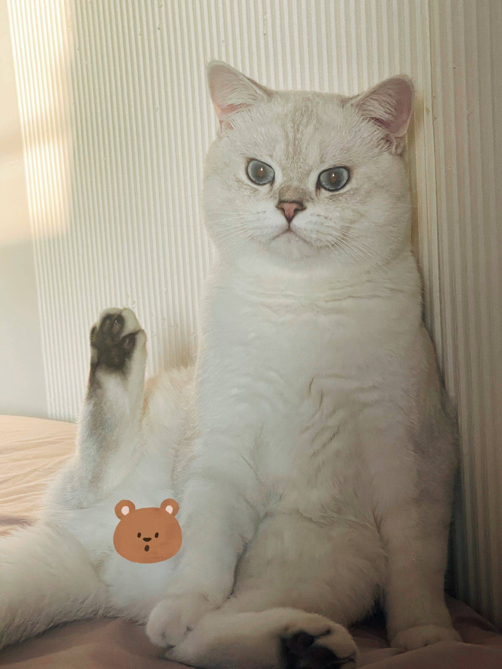 萌萌哈基米在线蹲室友小姐姐一起生活_2