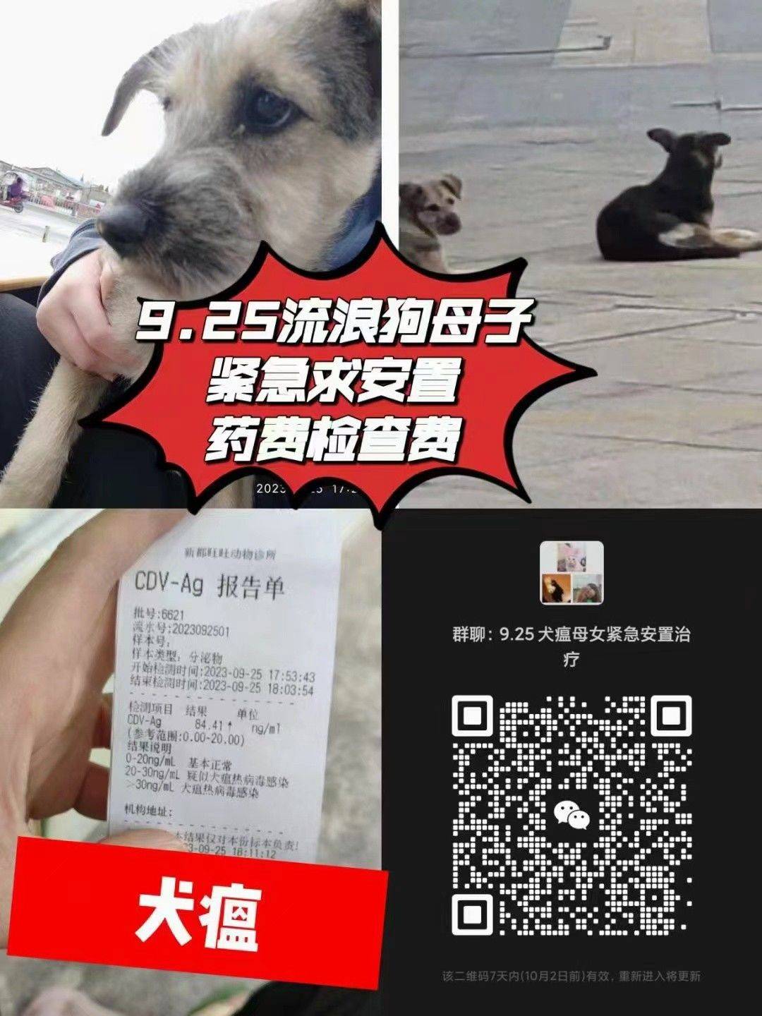 救助救助救助https://crowd._1