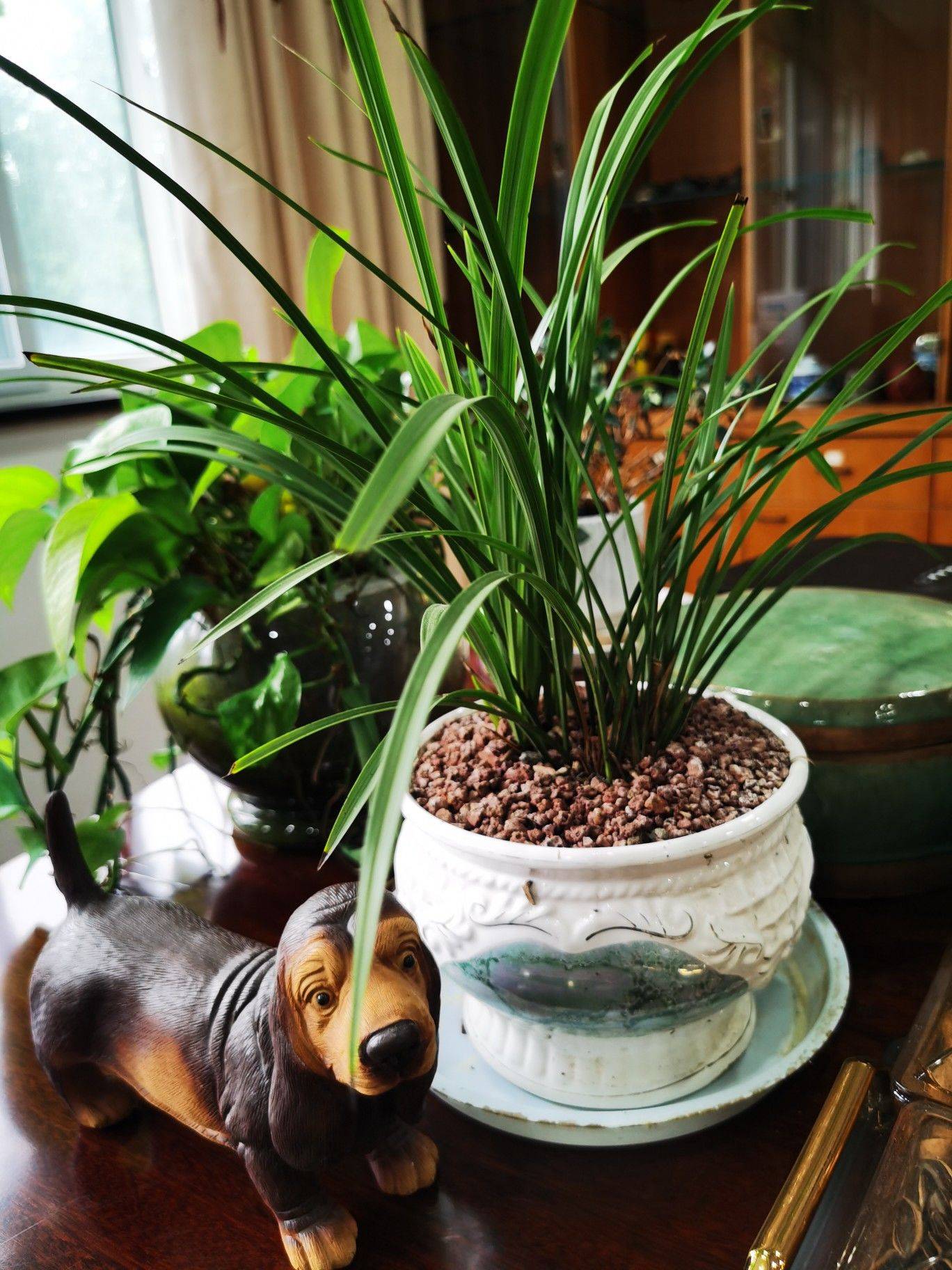 新的一天，喝茶开始，喝酒结束。_3