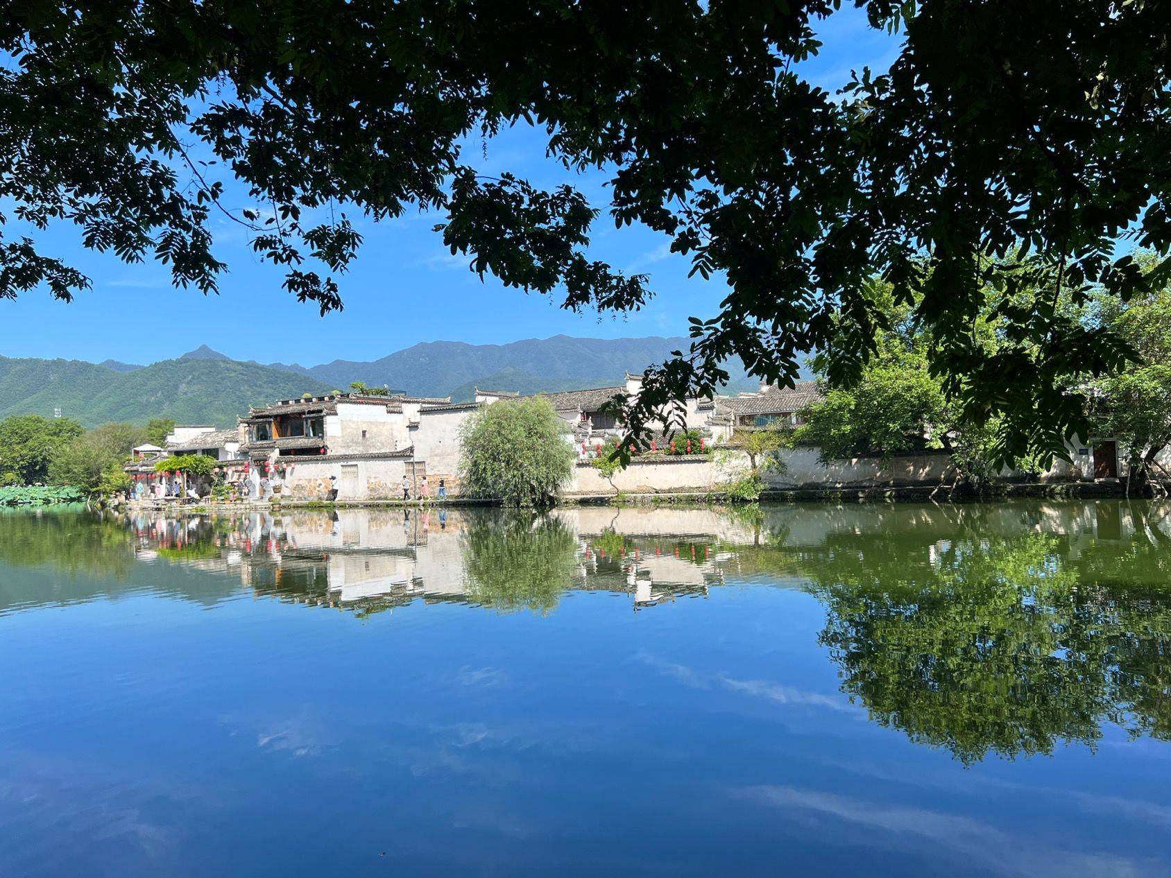 超高品质南卧招室友，近世纪公园世纪大道_1