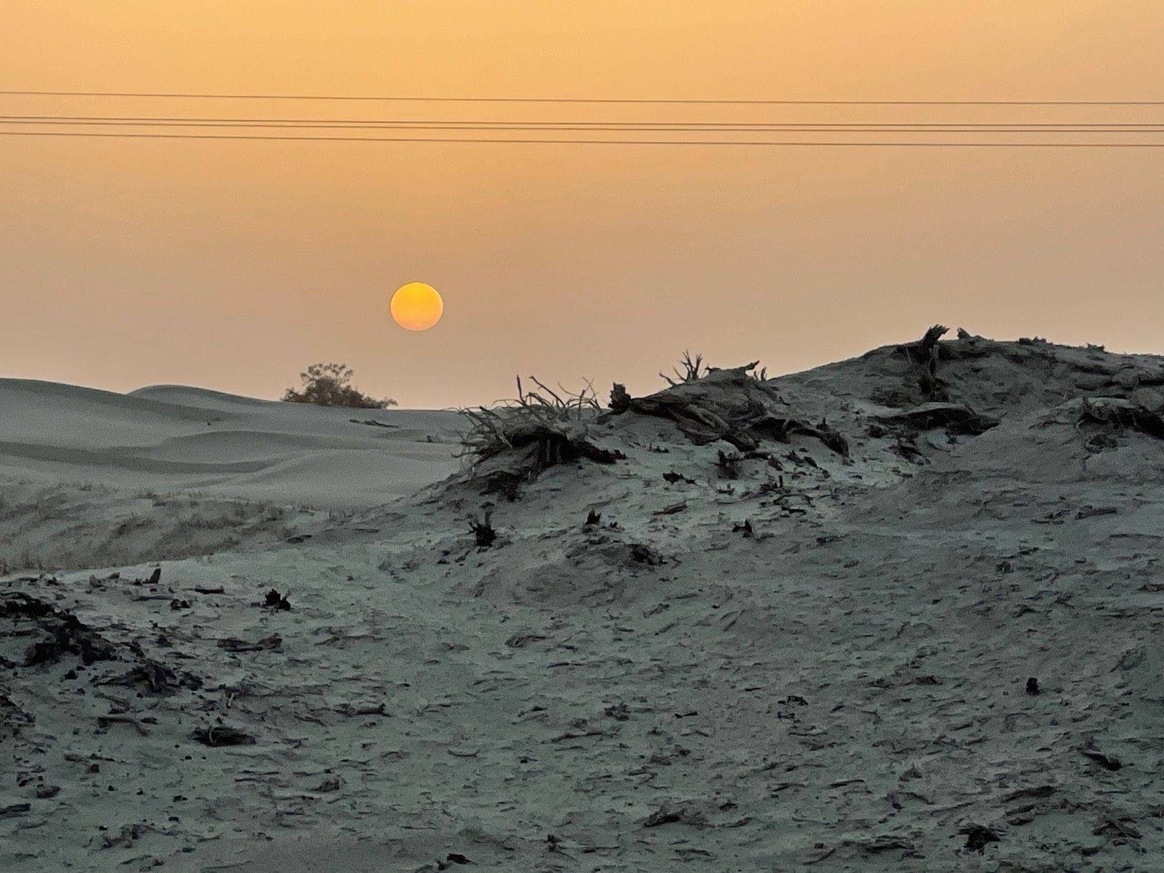 轮台落日VS胡杨