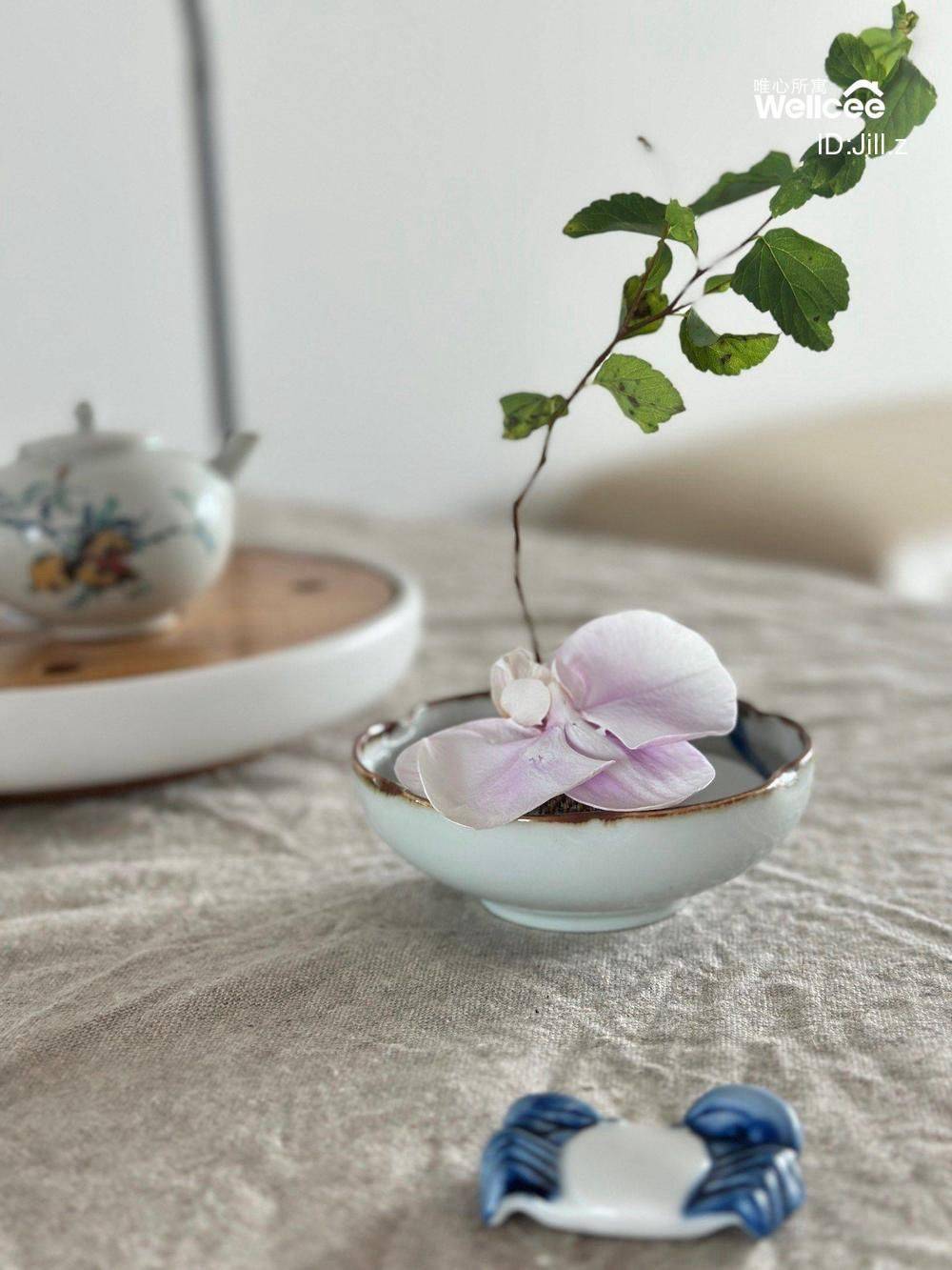 江景房坐等可爱女室友_4