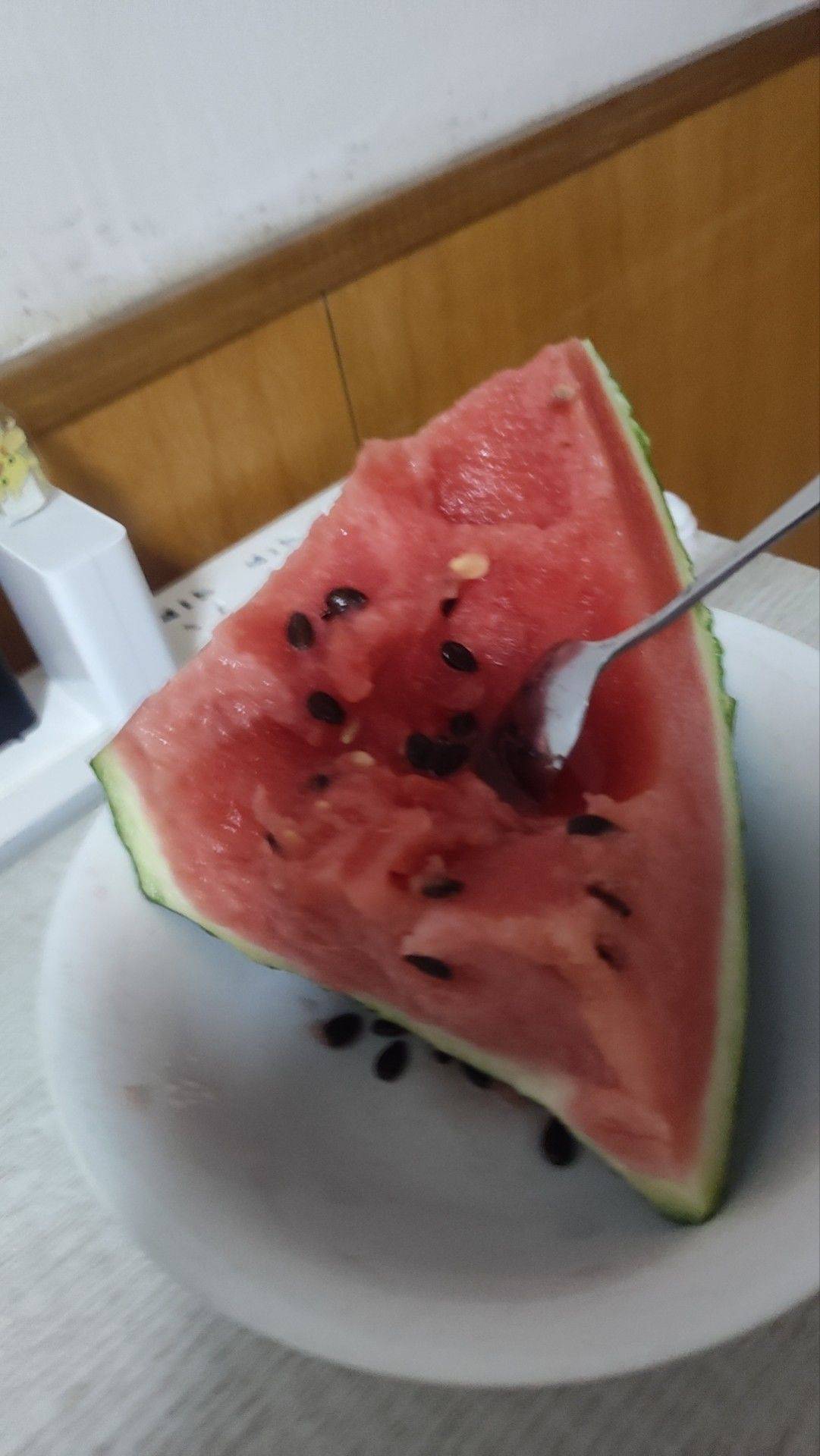 西瓜怀了，呜呜呜呜 碎碎念 