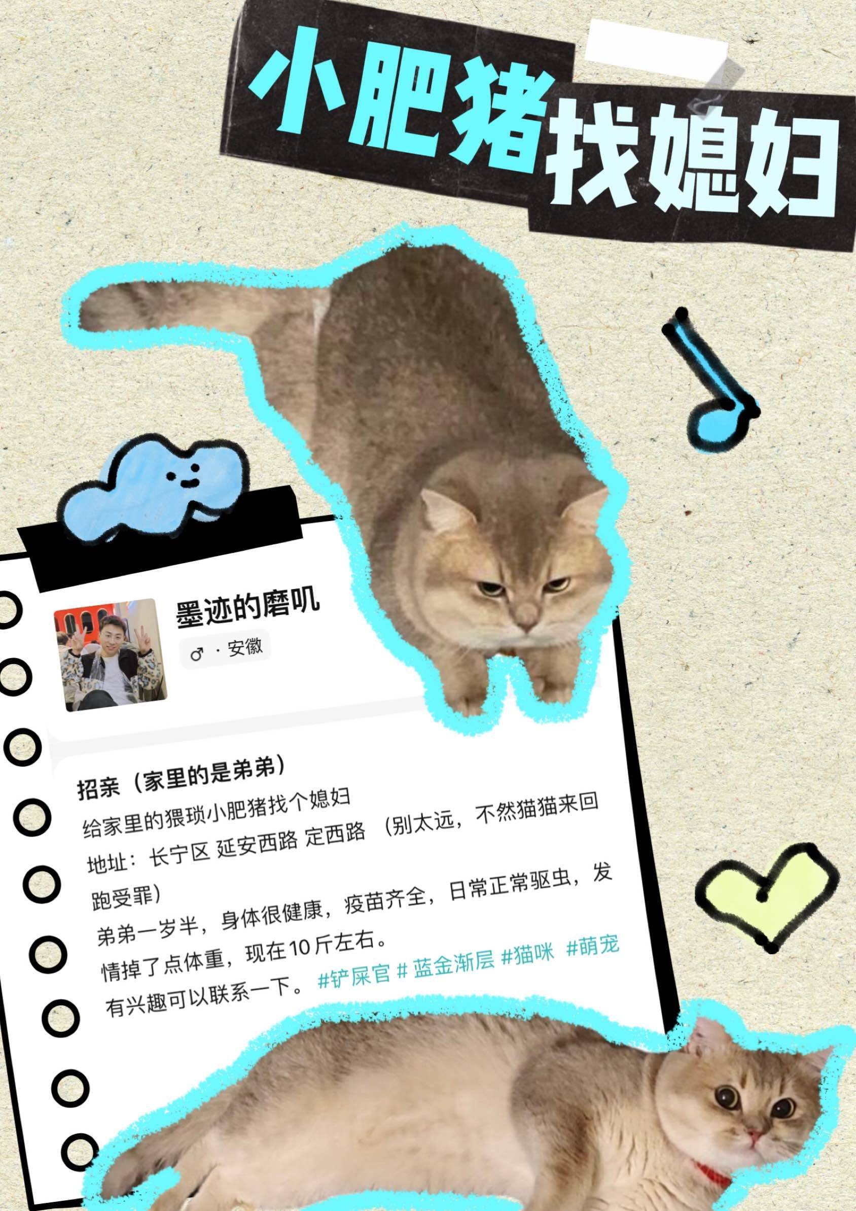 🐶🐱一些哈基米确实是人类宝宝的证据：