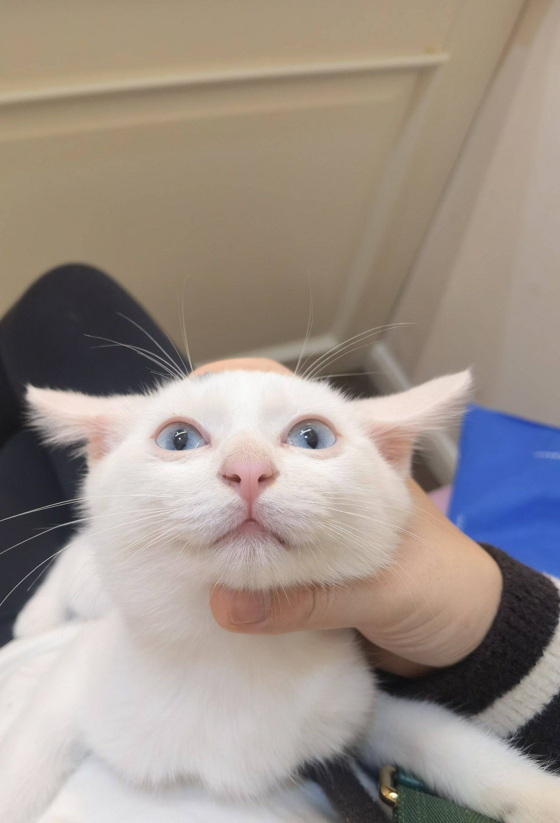 请各位姐妹直接私聊我🥺