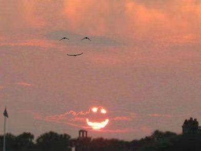 在线蹲室友完美室友   本人男，大学