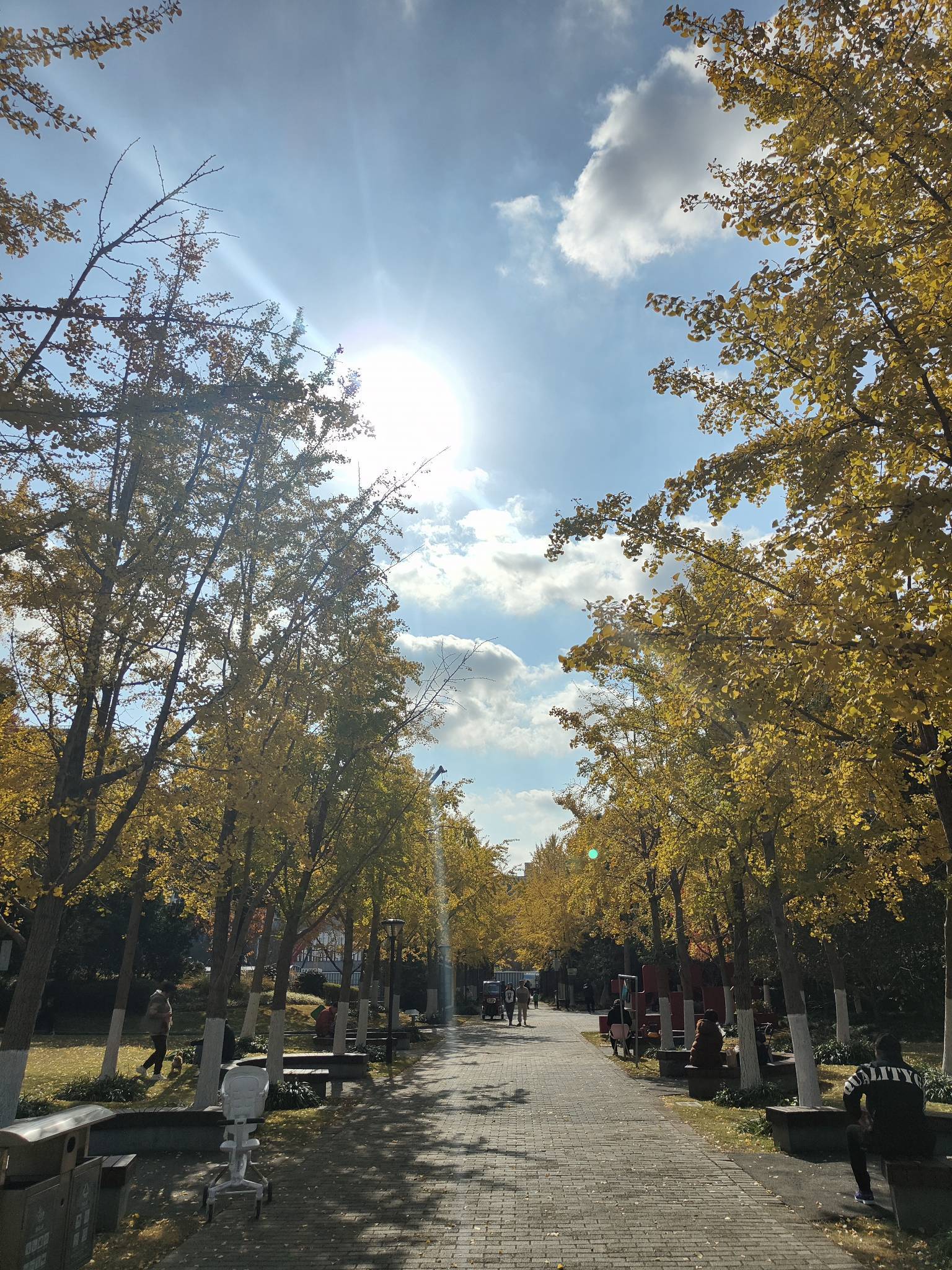 秋🍁 
分享周末 