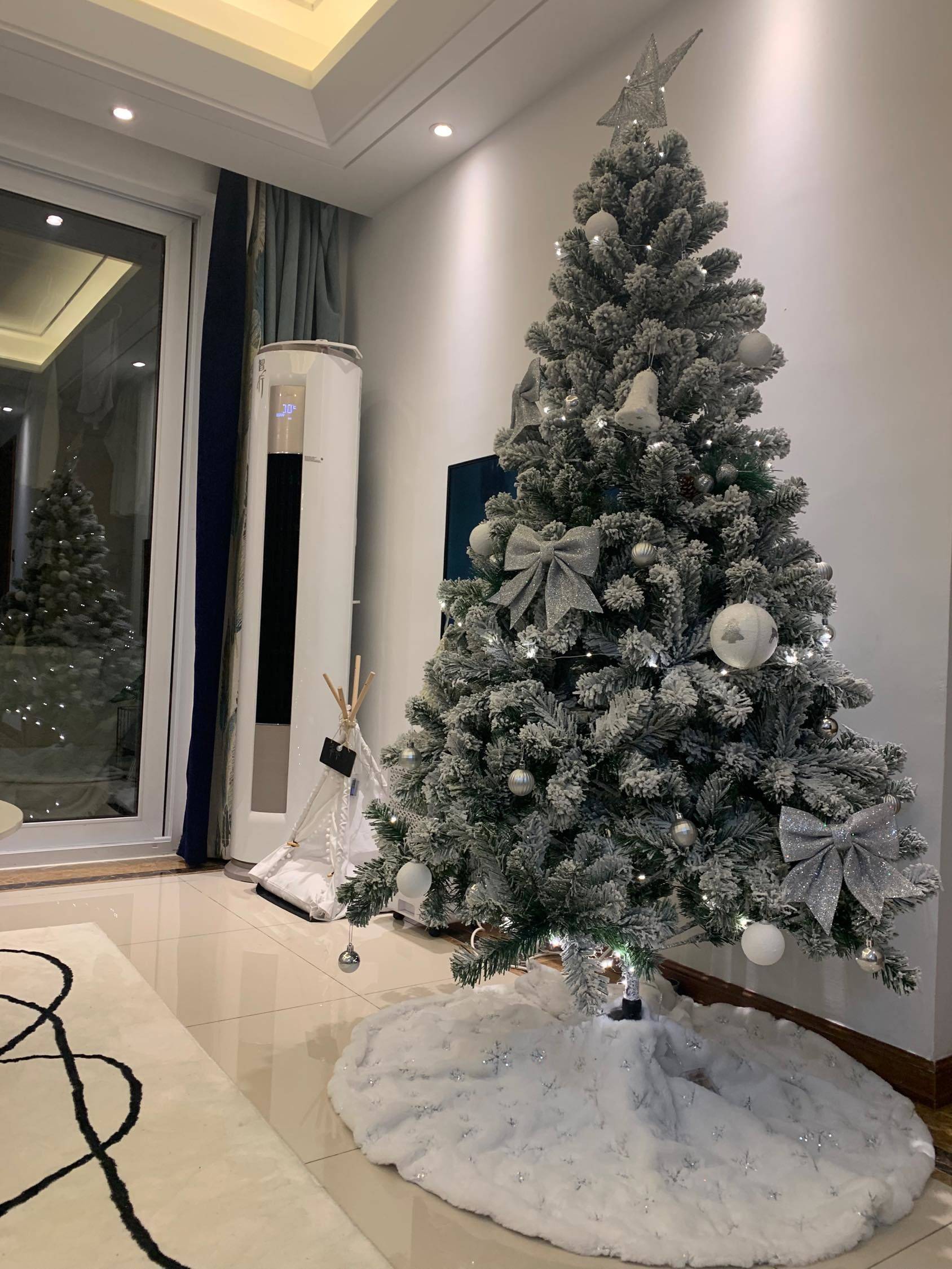 圣诞树🎄要不要拿出来摆上呢_1