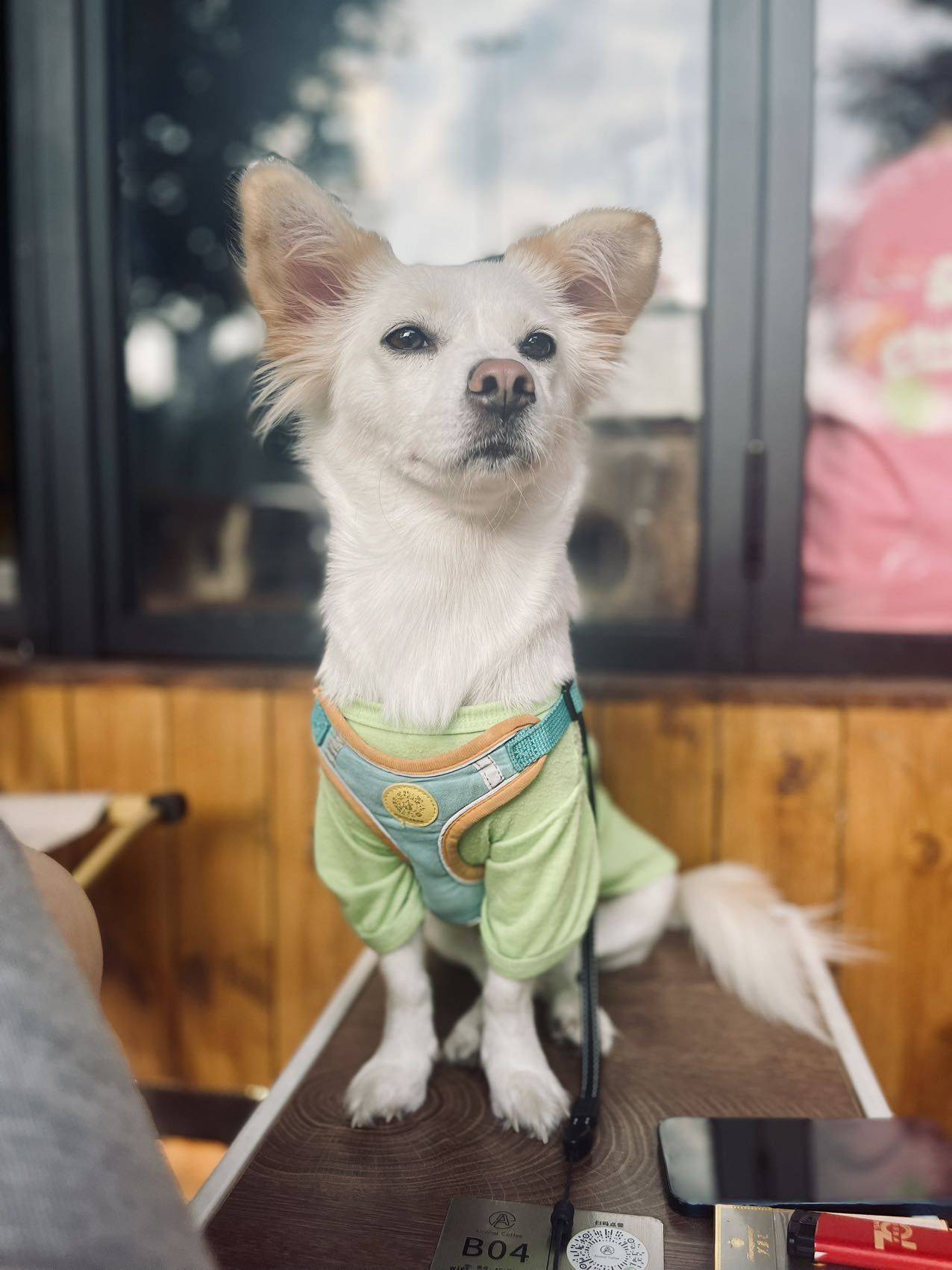 在线等一位有缘人