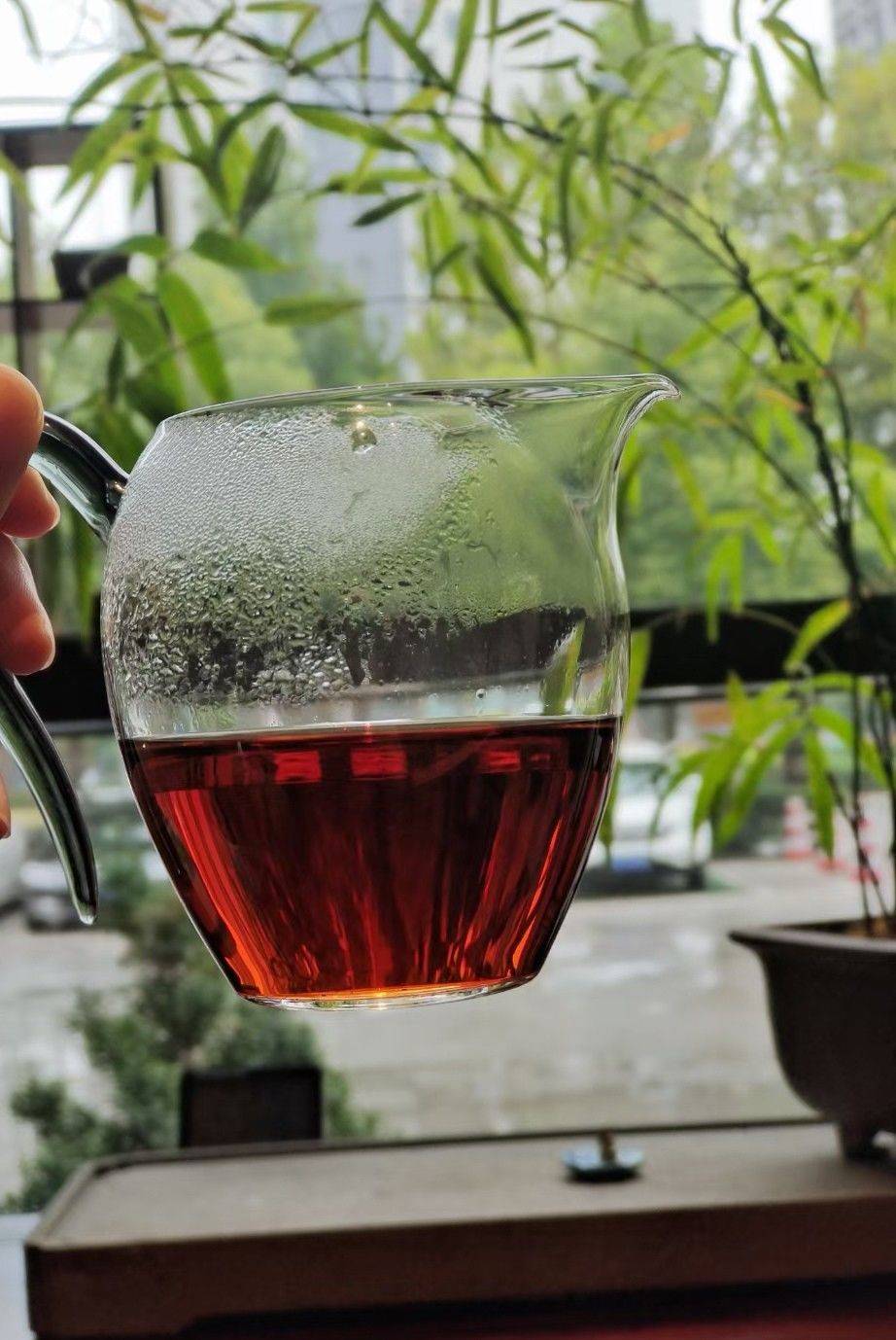 我的室友你在哪