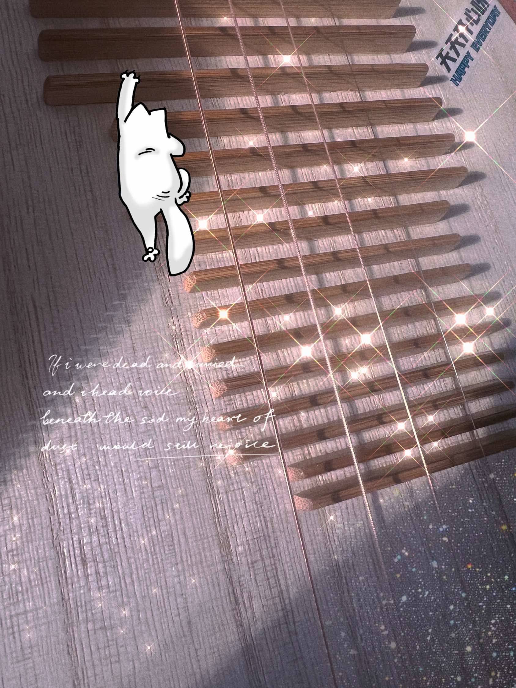 阳光撒在琵琶上 