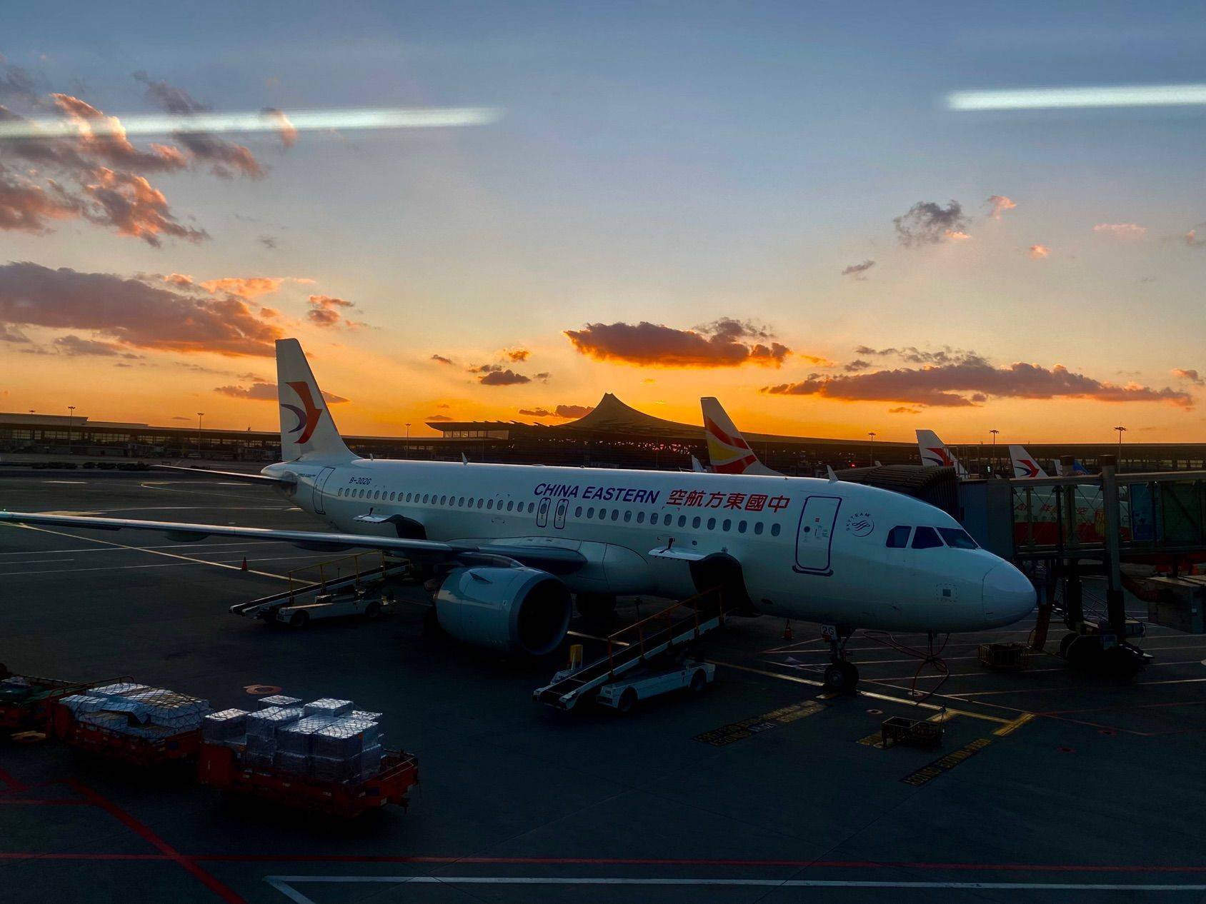 Counting down the days