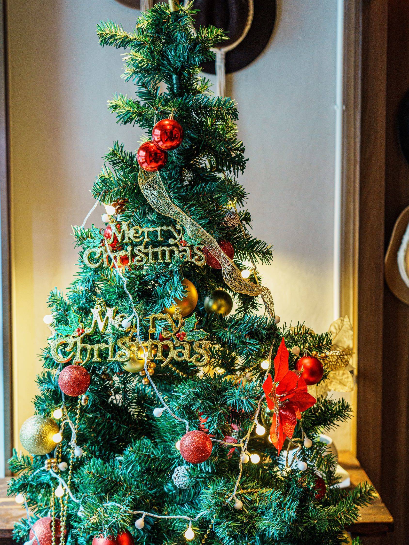 Merry Christmas eve_1