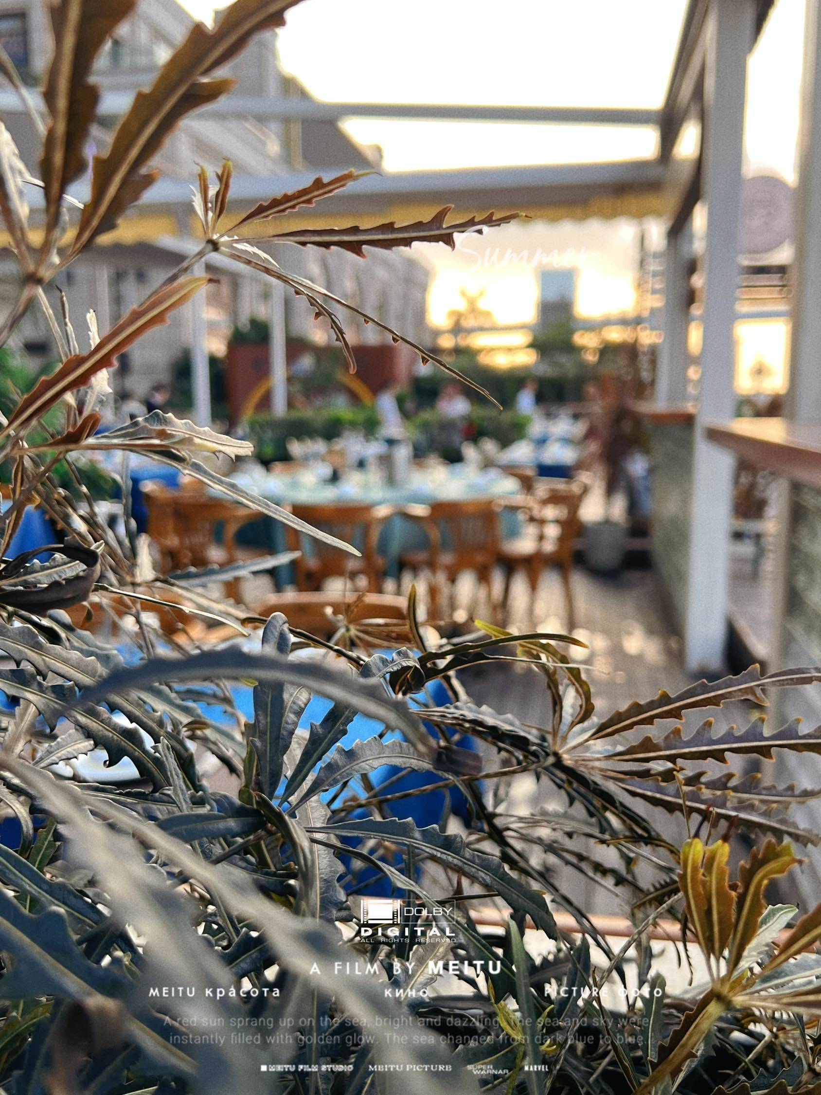 City walk海边日落_1