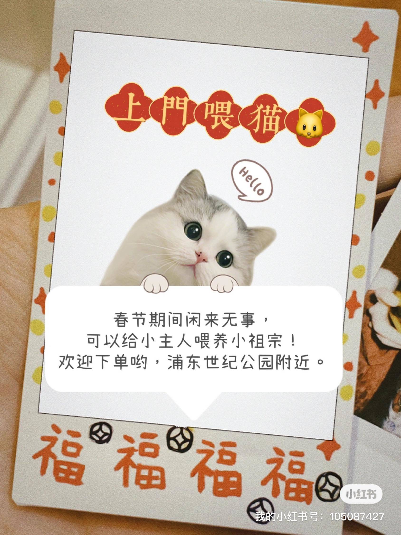 2024春节承接世纪公园附近上门喂养