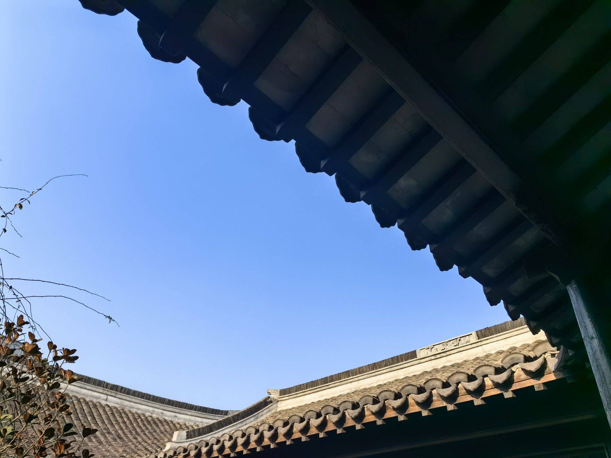 陶家宅的这和那_2