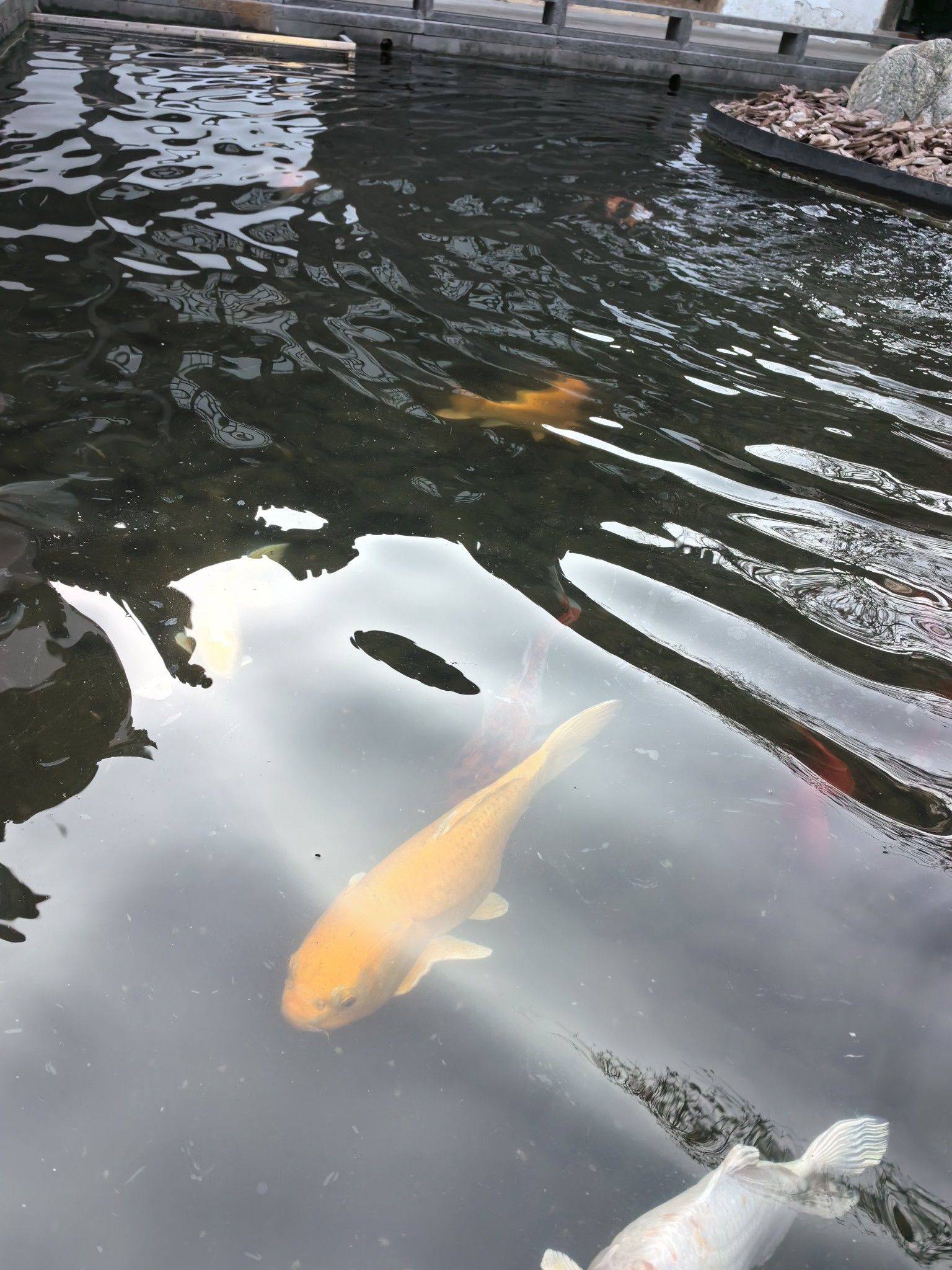 陶家宅的这和那_1