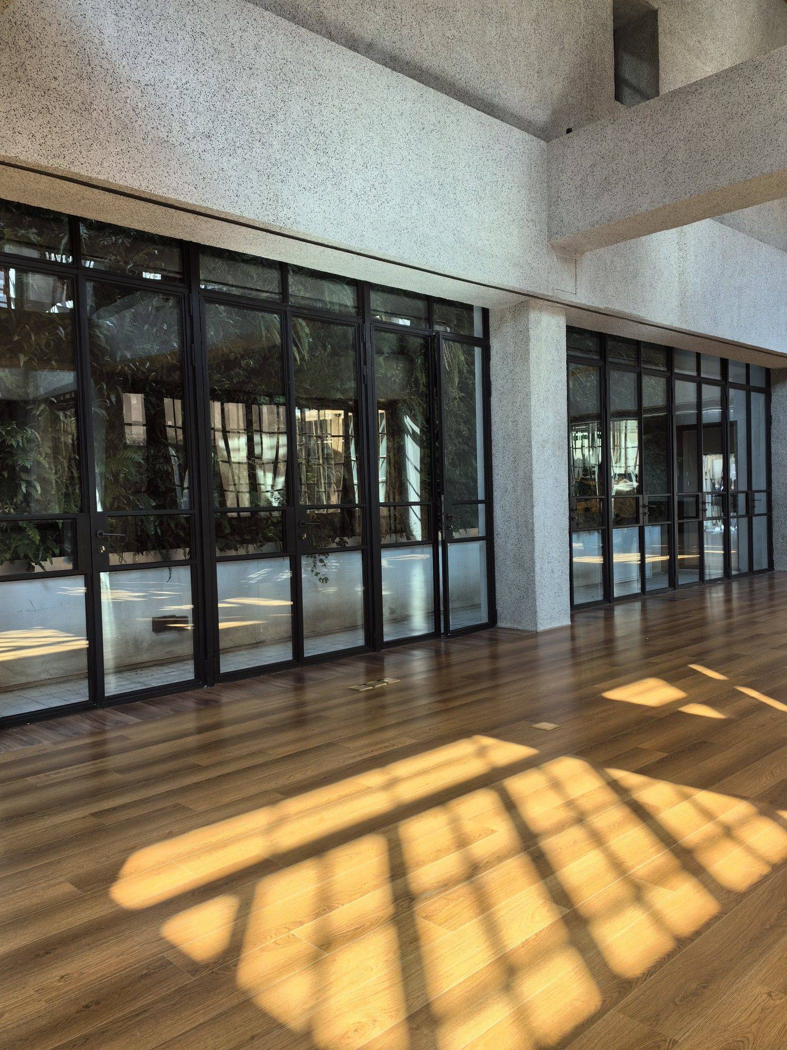 想念过年时候的好太阳☀️