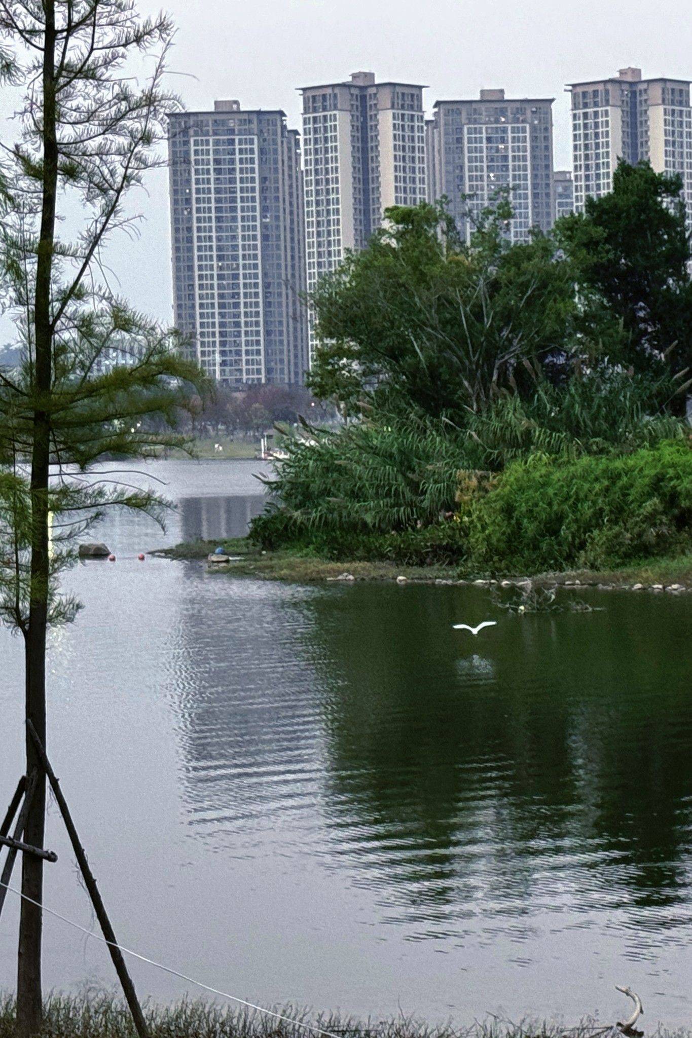蜗居外乡人想有个遮风挡雨的地方