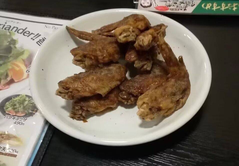 差旅(日本)🇯🇵 碎碎念 _0