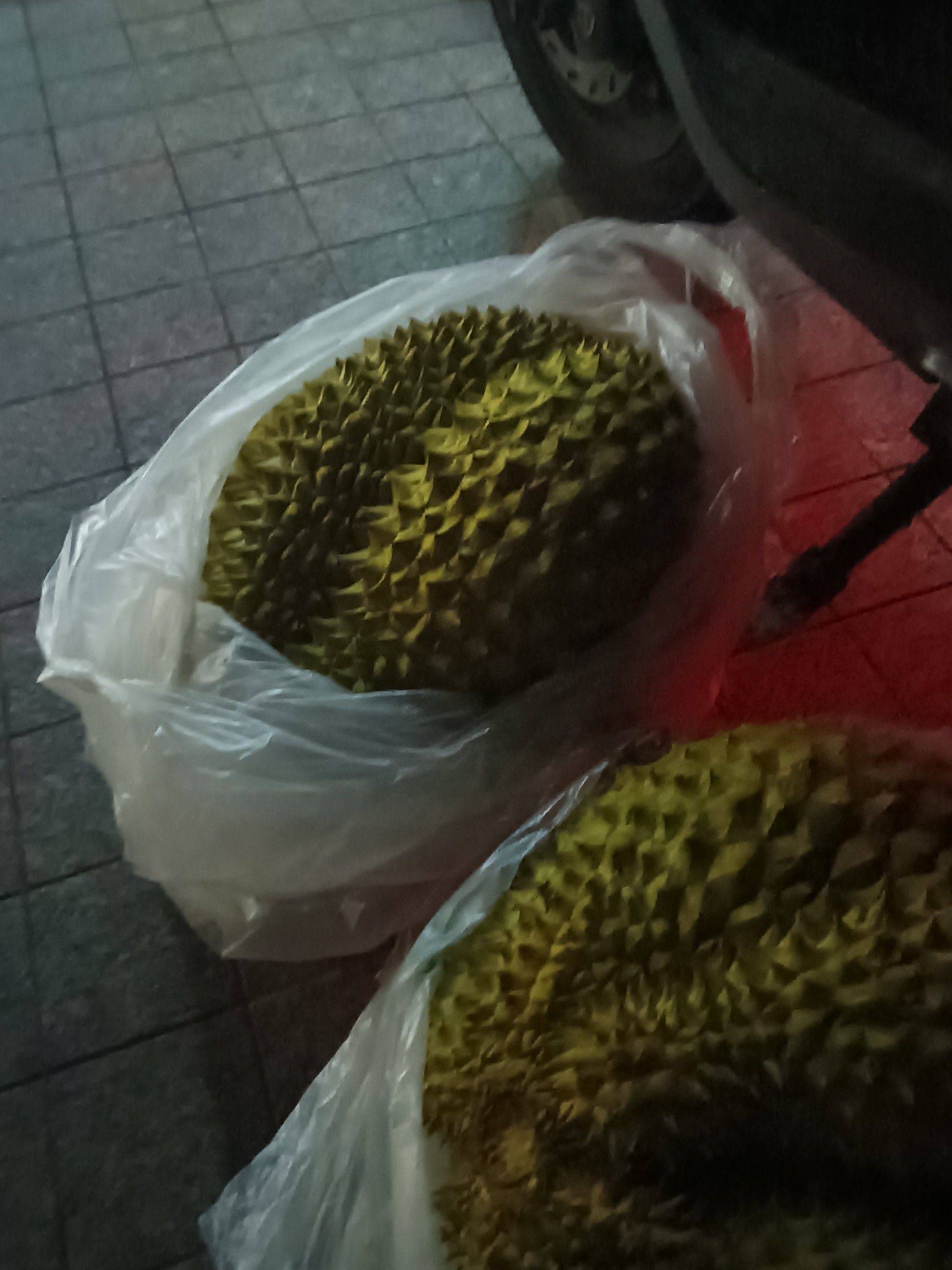  找搭子  在线蹲室友 有没有跟我一