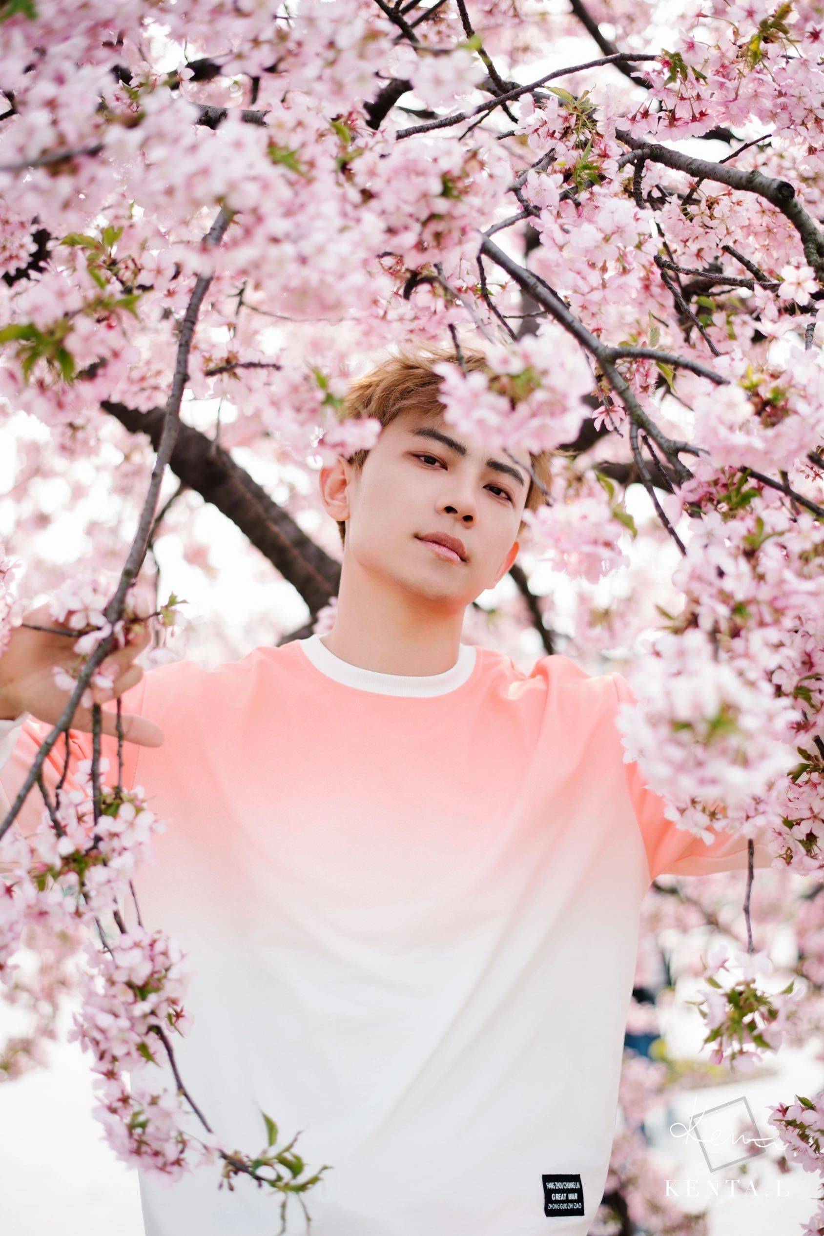 你错过的风景我拍给你看🌸_2