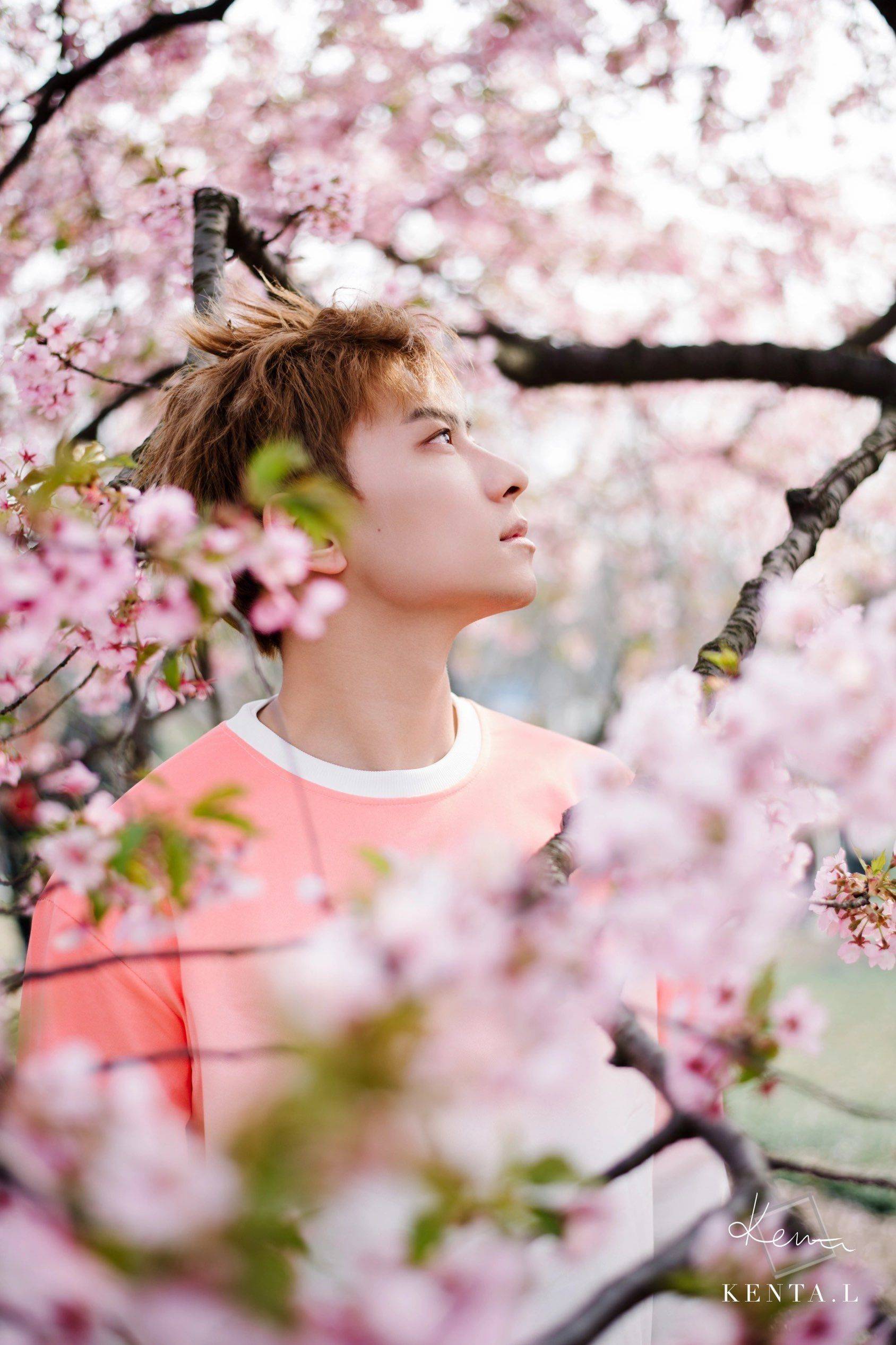 你错过的风景我拍给你看🌸_3