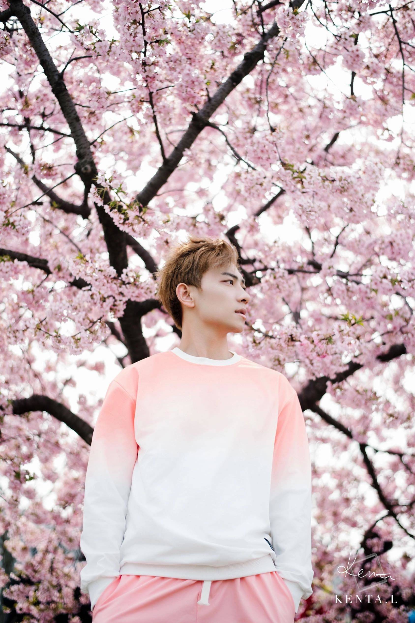 你错过的风景我拍给你看🌸_4