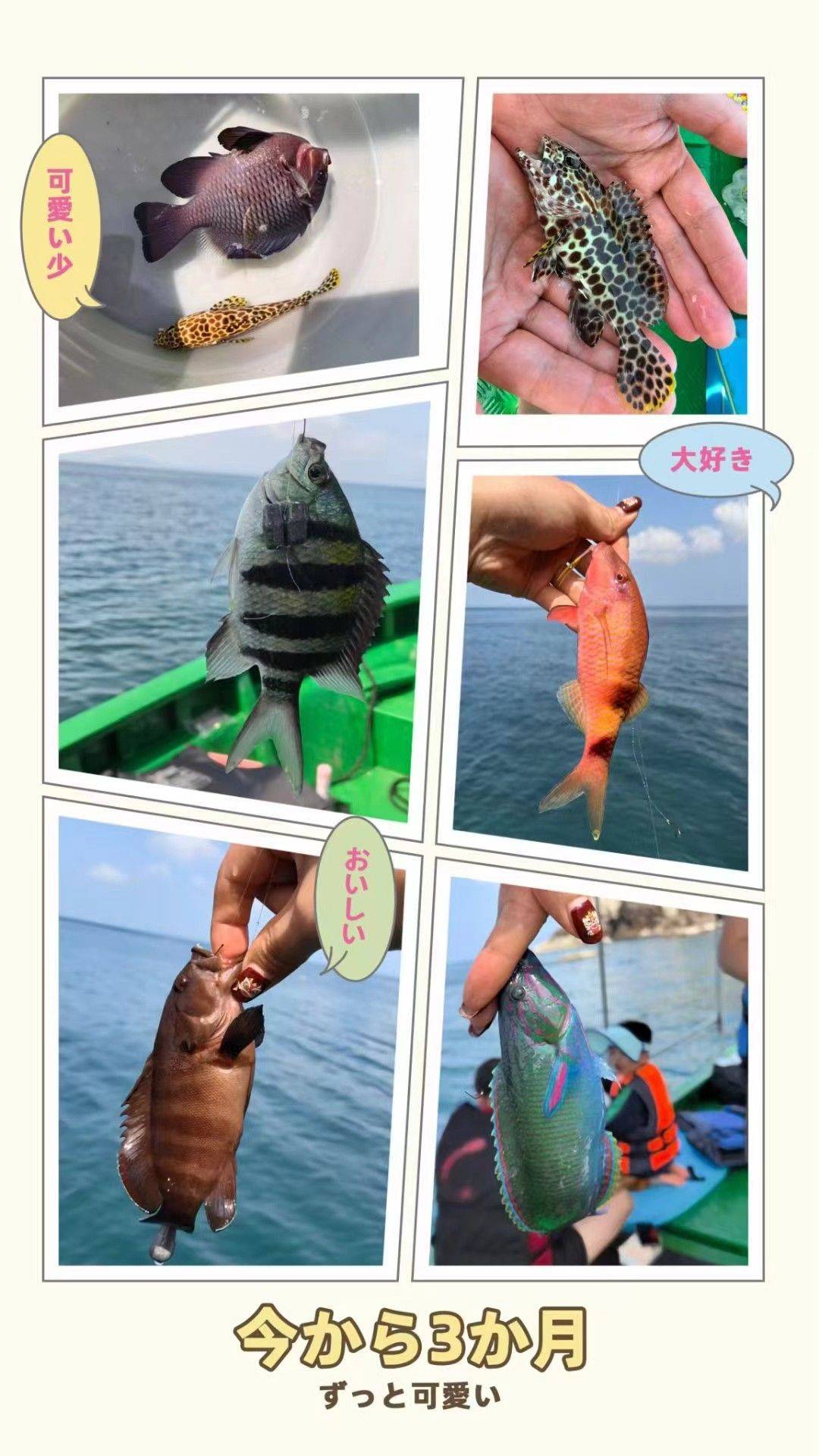 💦万宁大洲岛浮潜基地，海底世界的梦幻天堂_4