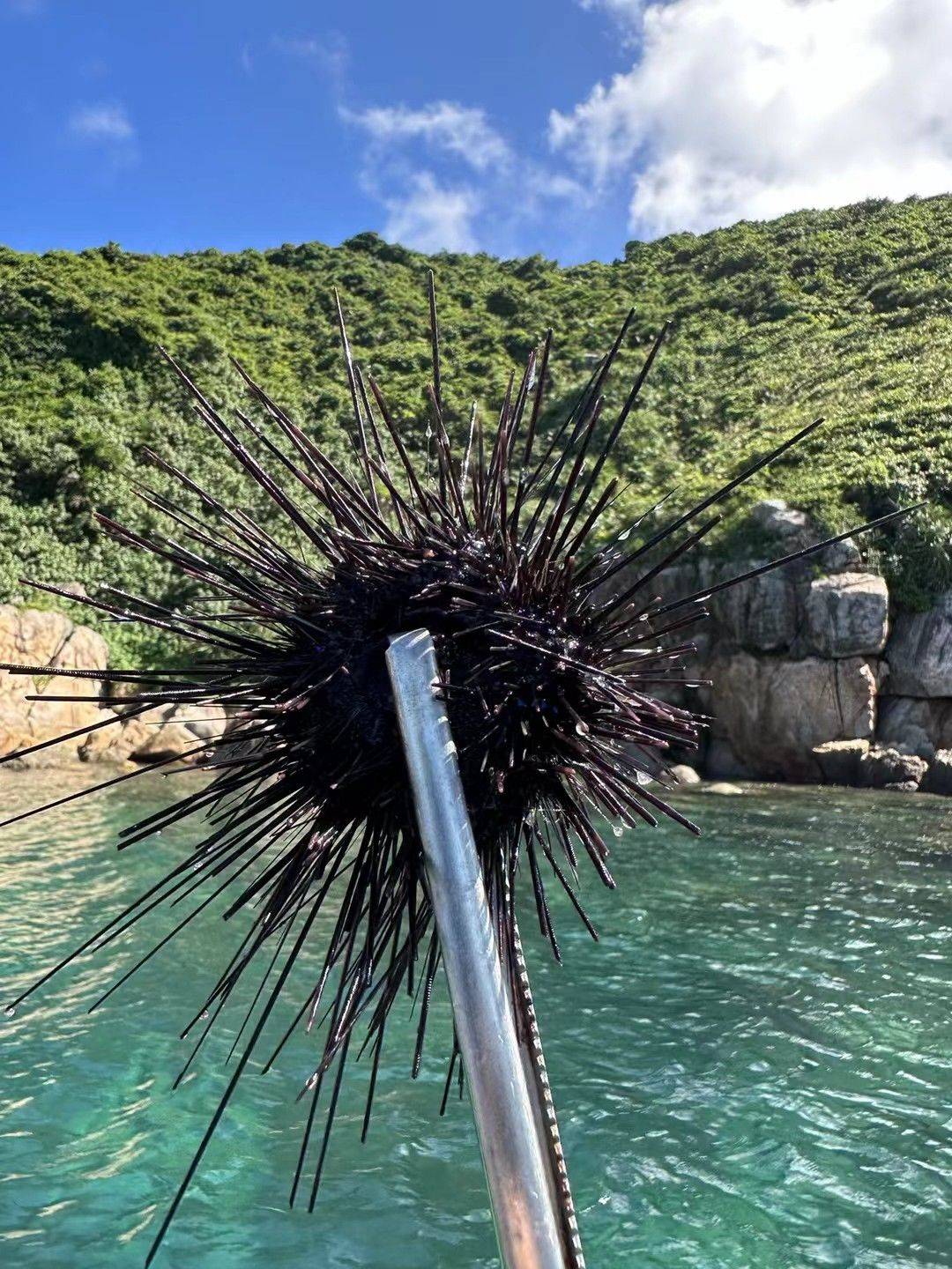 💦万宁大洲岛浮潜基地，海底世界的梦幻天堂_2