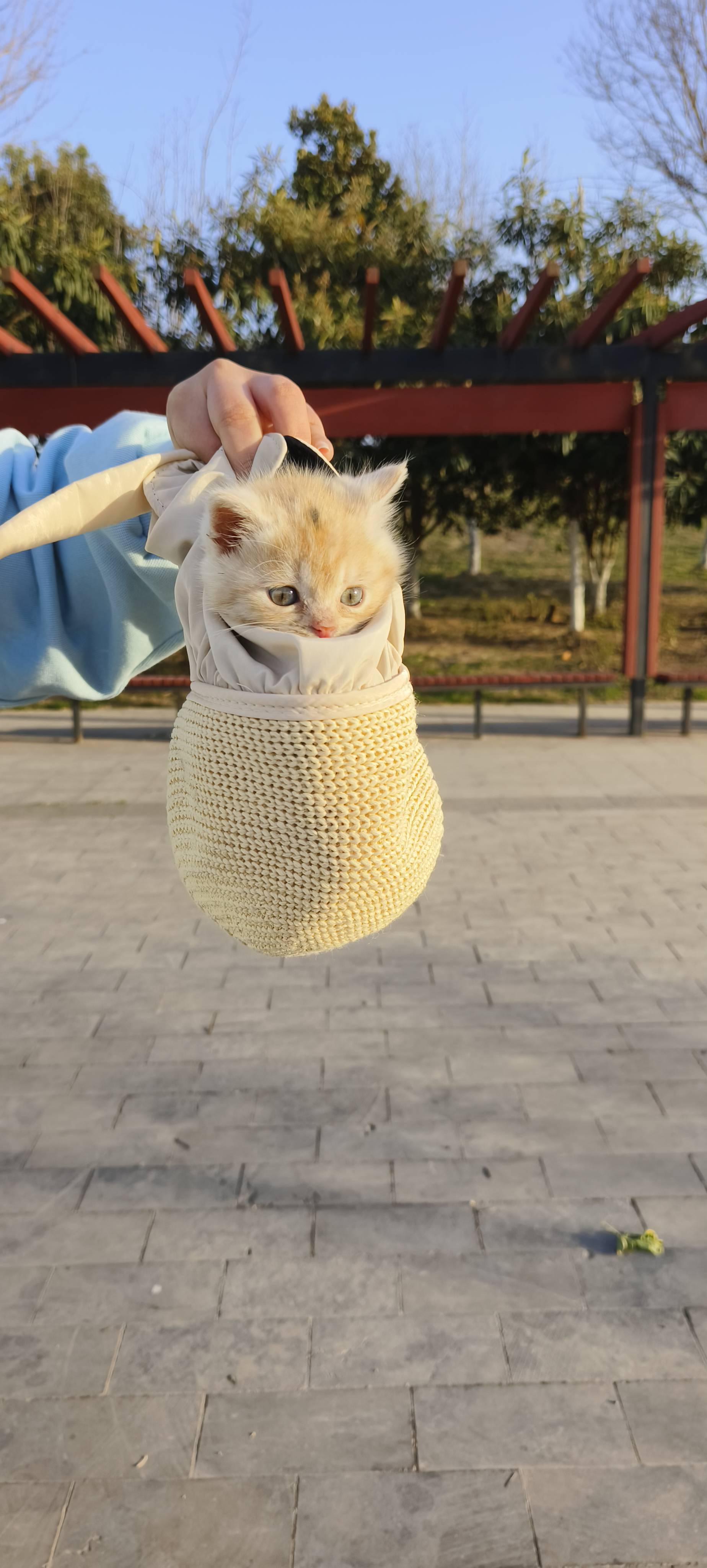 捡了一只小可爱，喜欢吗🕶