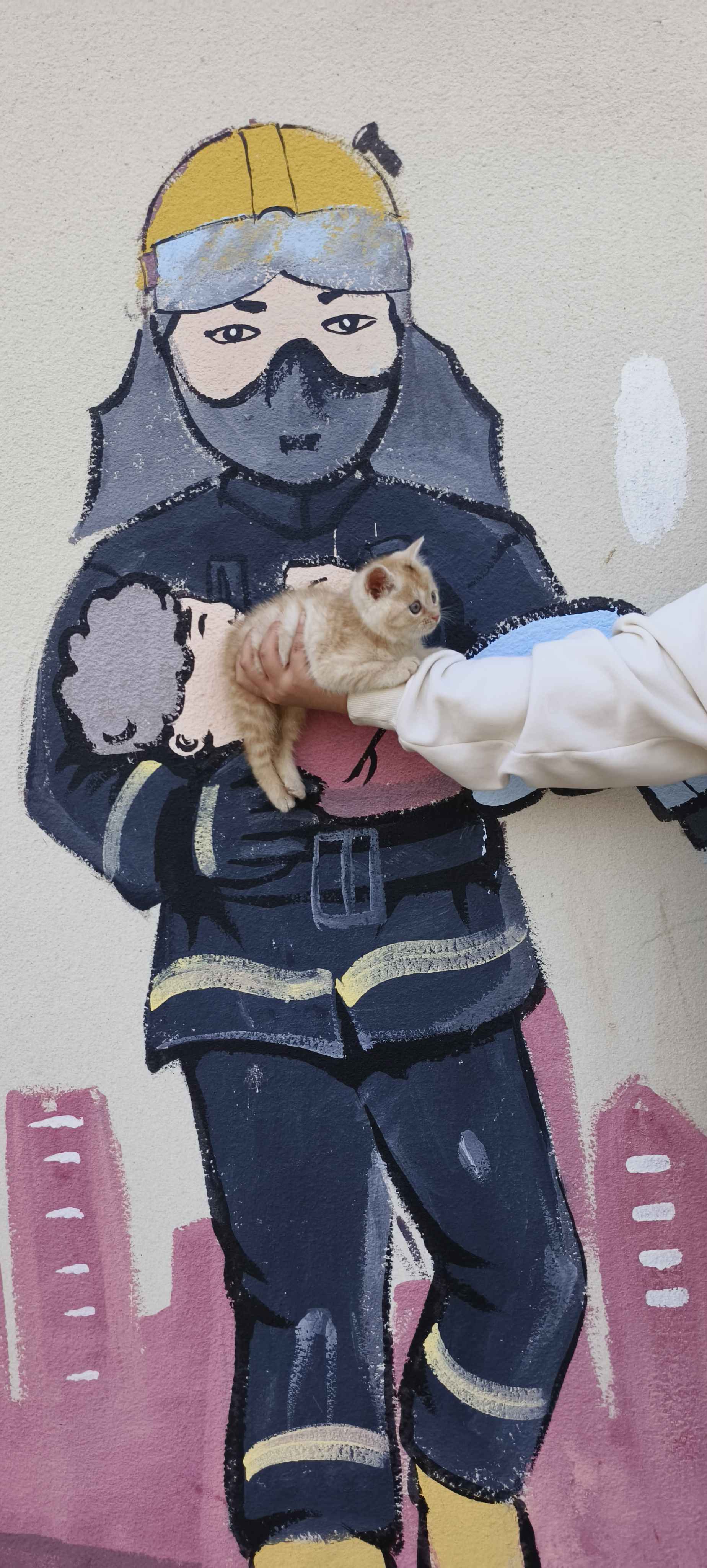 春暖花开时，带它出去见见世面😀_1