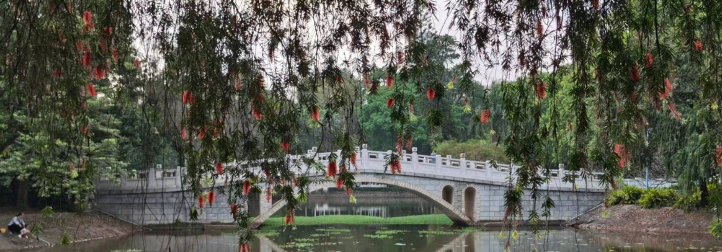 春天里的美景拍摄～～