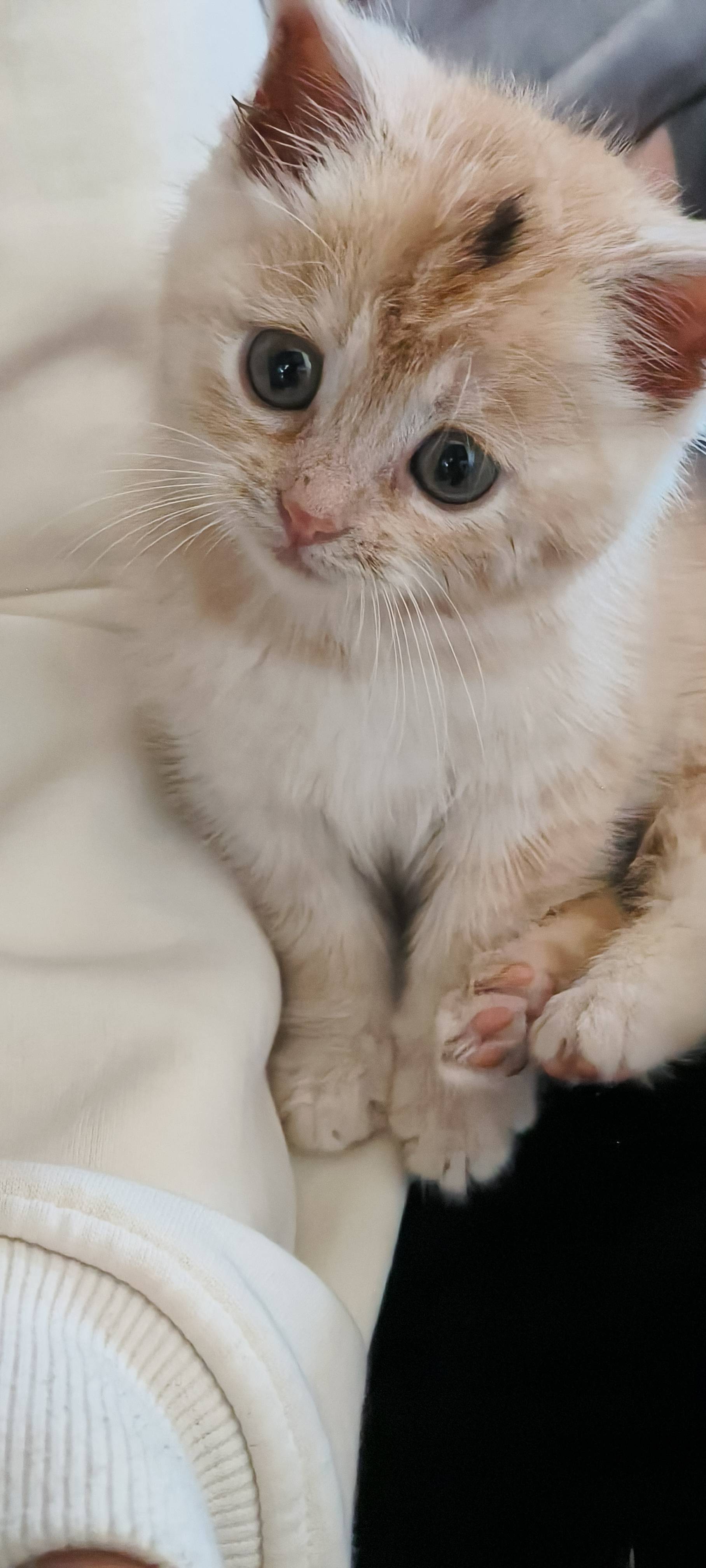 超级可爱的小东西😀_1