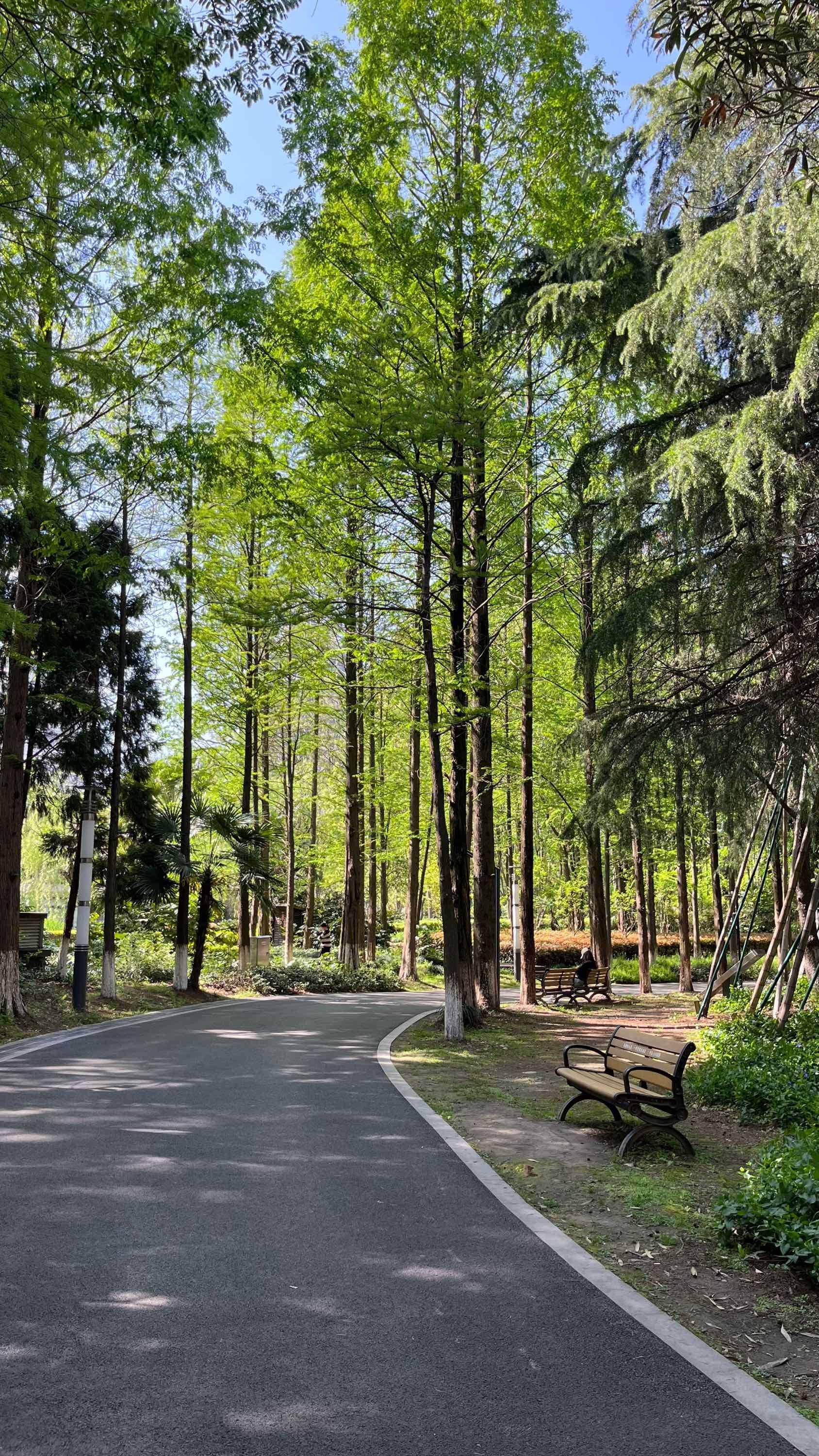 Blossom time finished 😭 _3