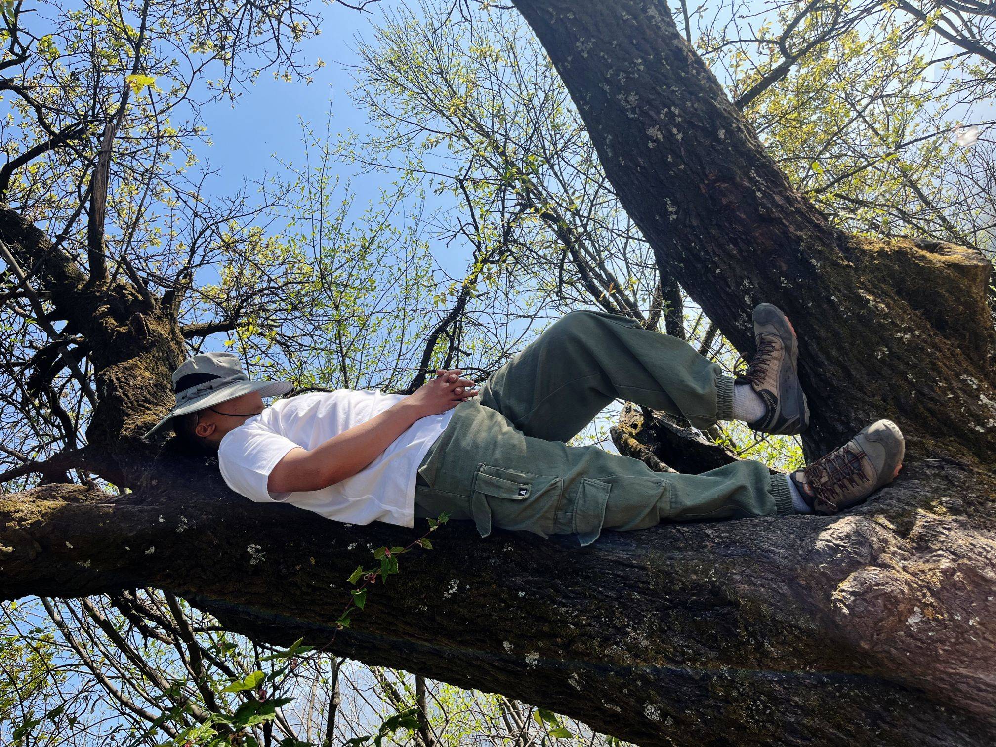 西寺沟赏紫荆花_4