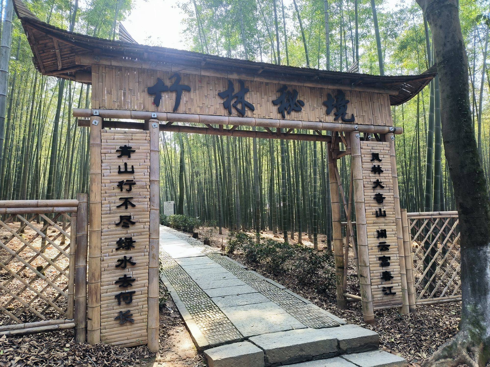  🏳️‍🌈 真美_1
