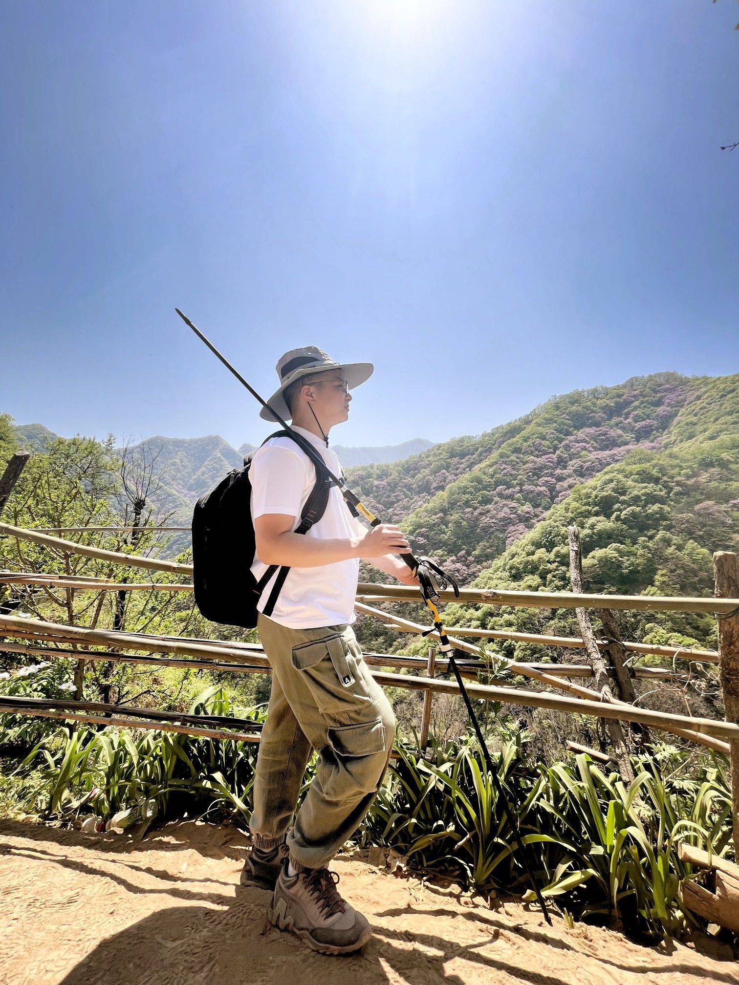 西寺沟赏紫荆花_1