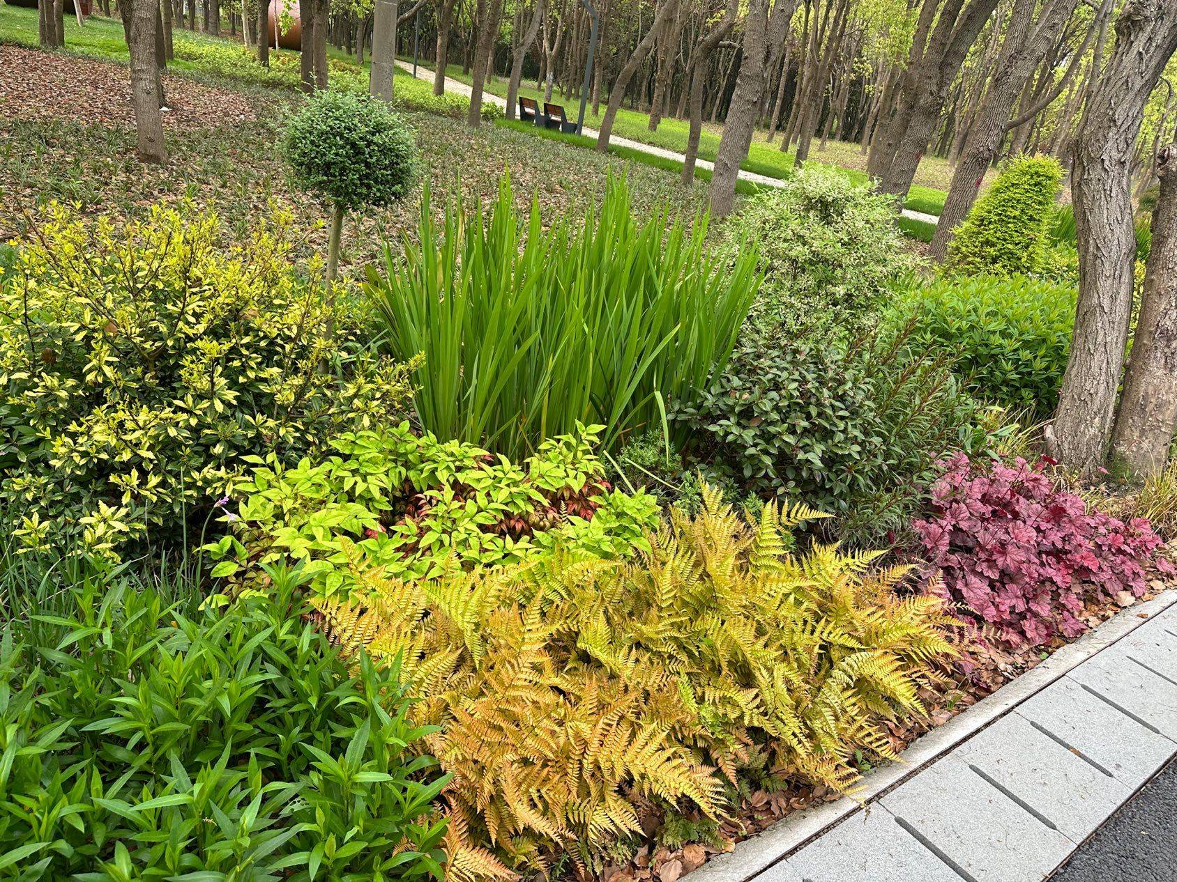 宝藏公园漫步_2