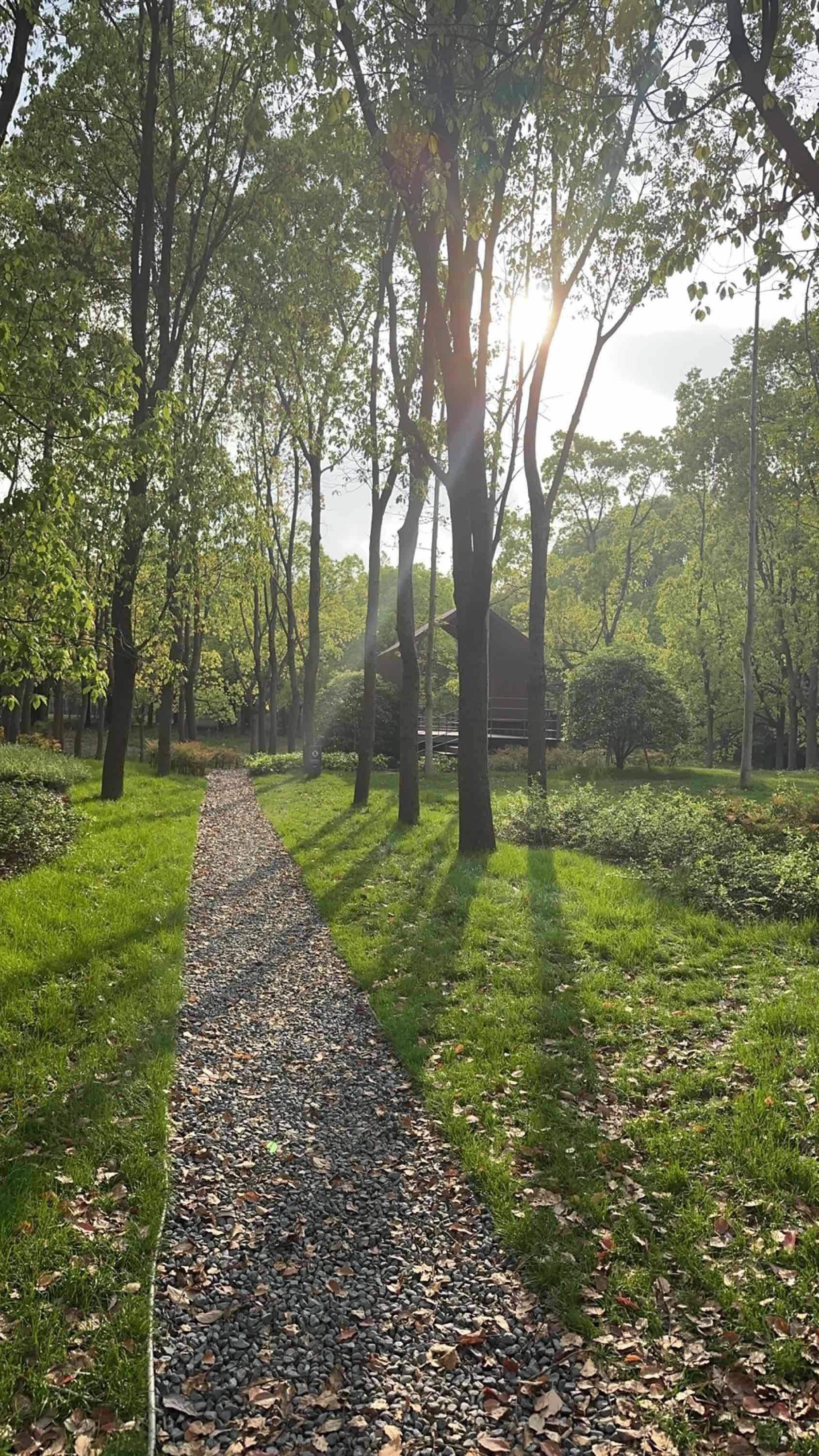 宝藏公园漫步_1