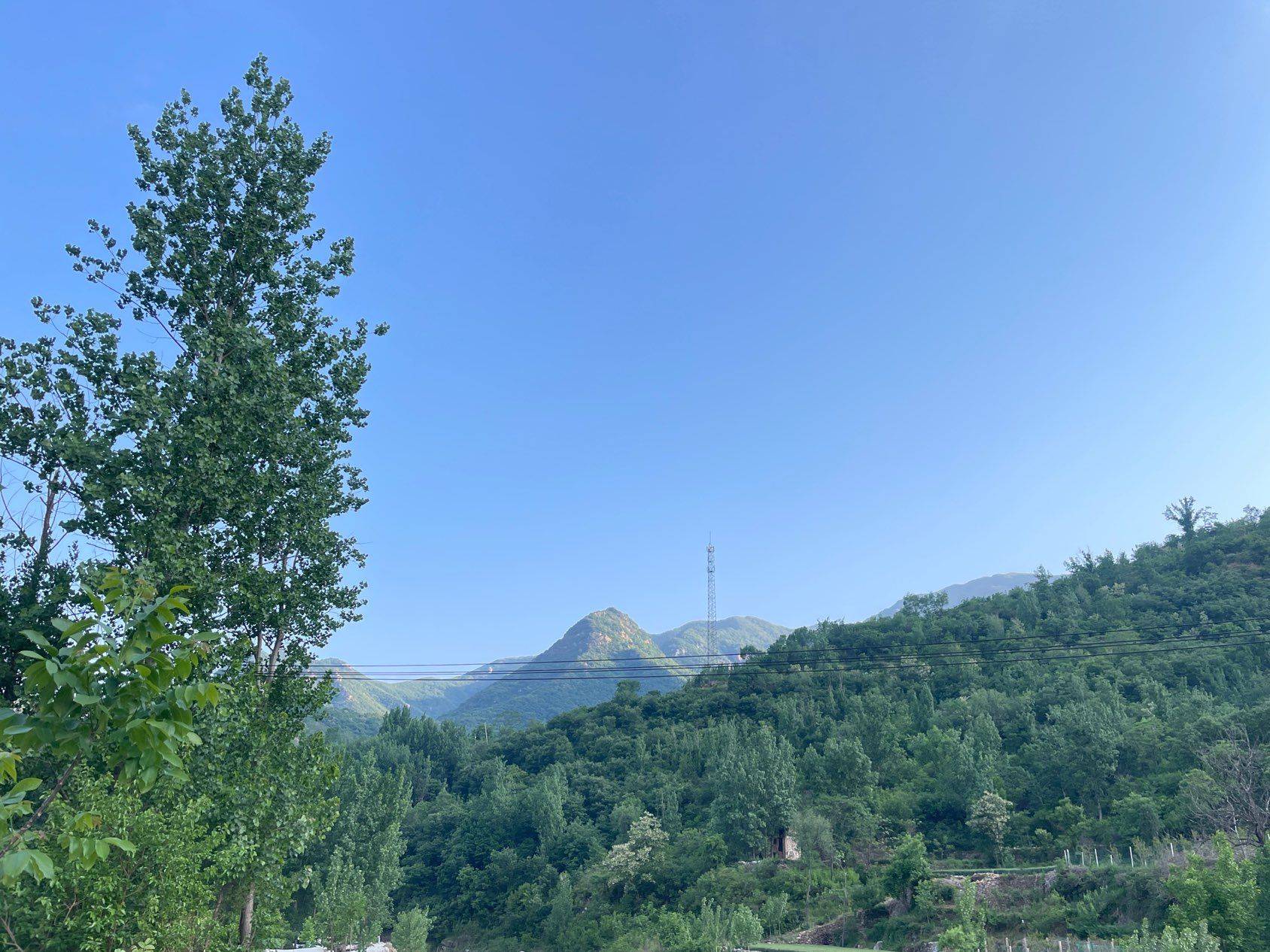 五一野采⛰️_1