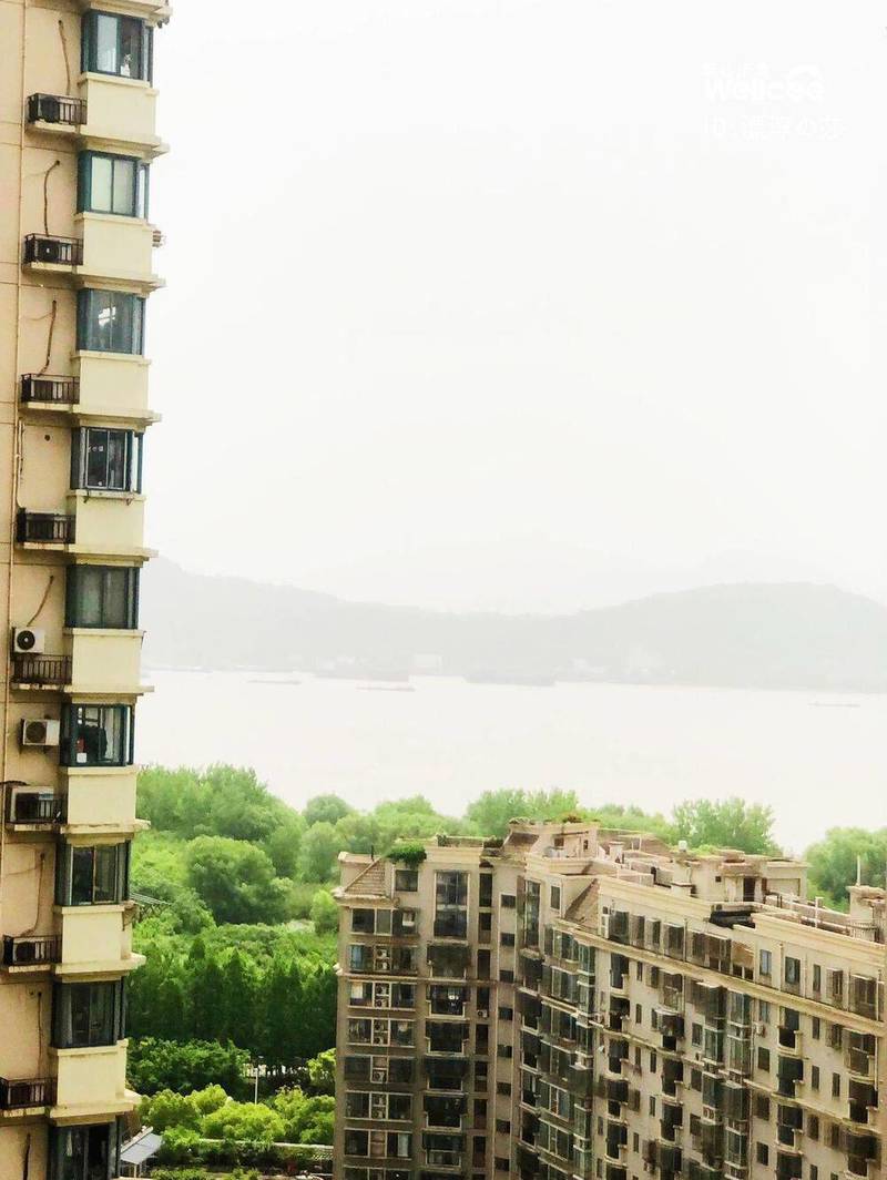 来我家看江景,找室友