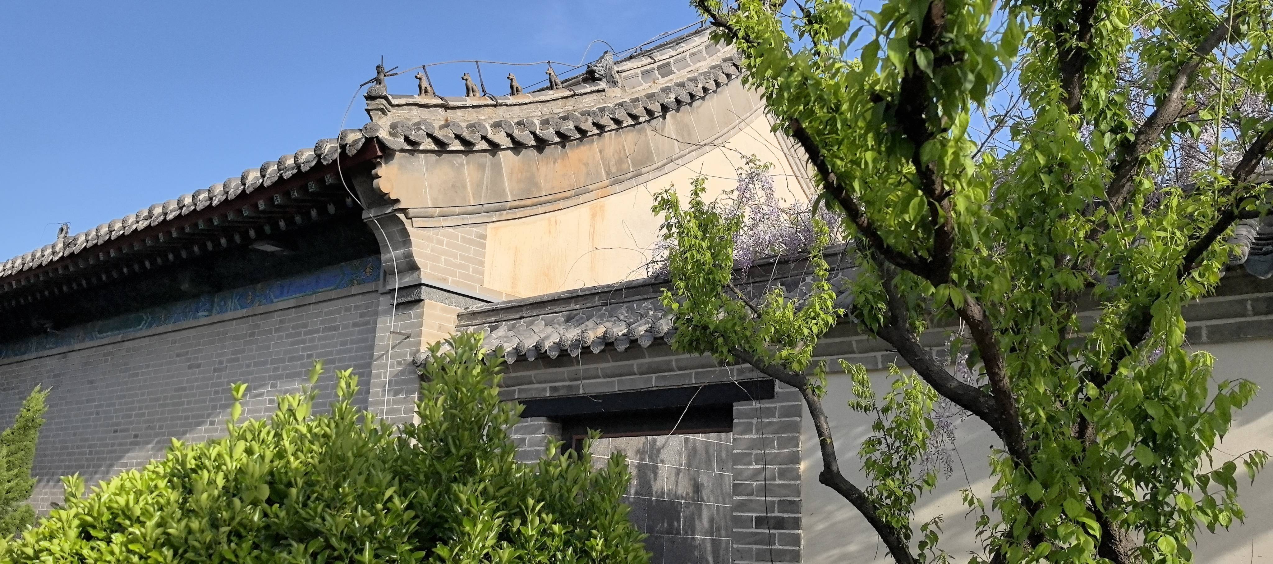 到处走走_1