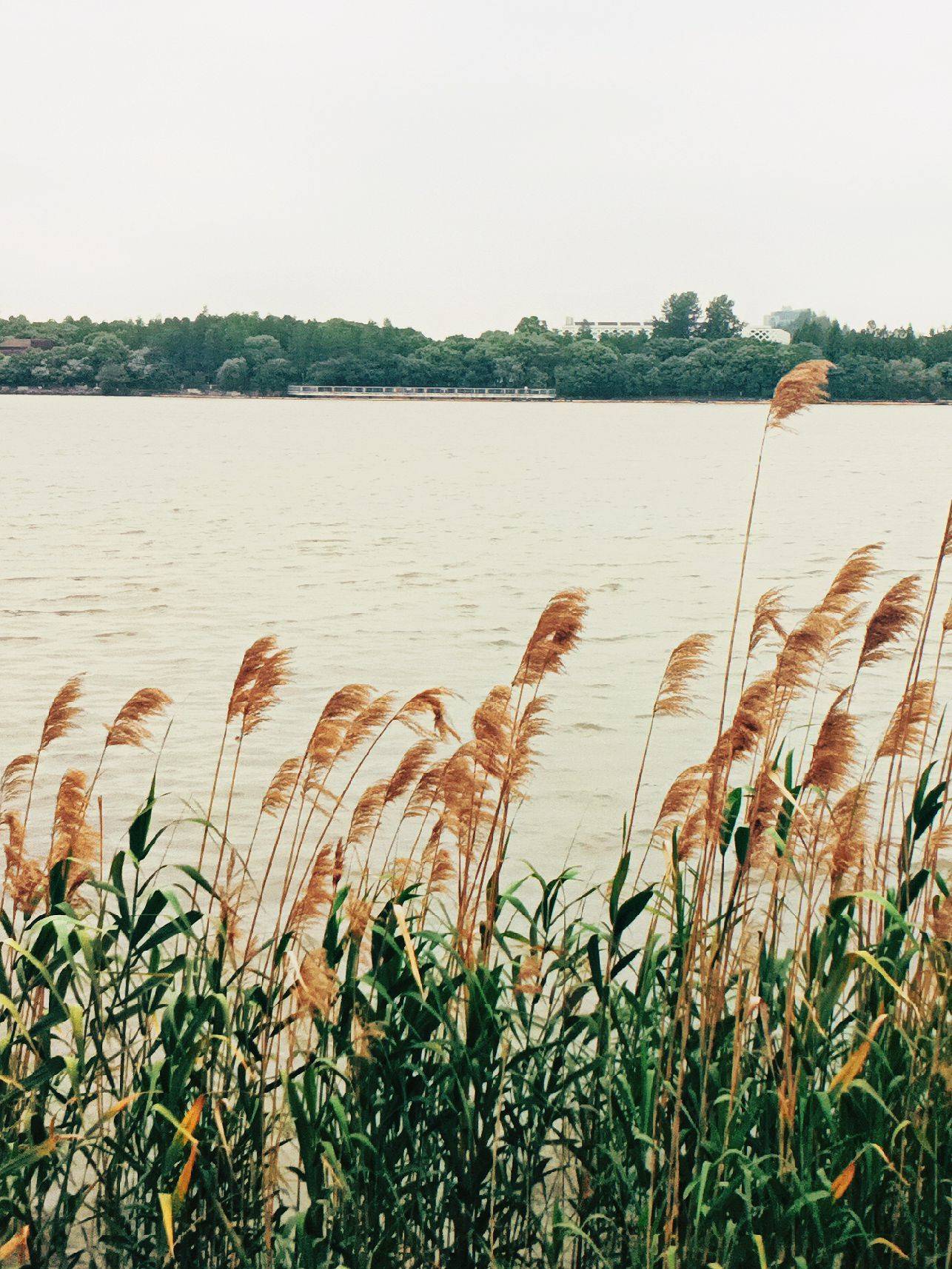 南园滨江绿地_1