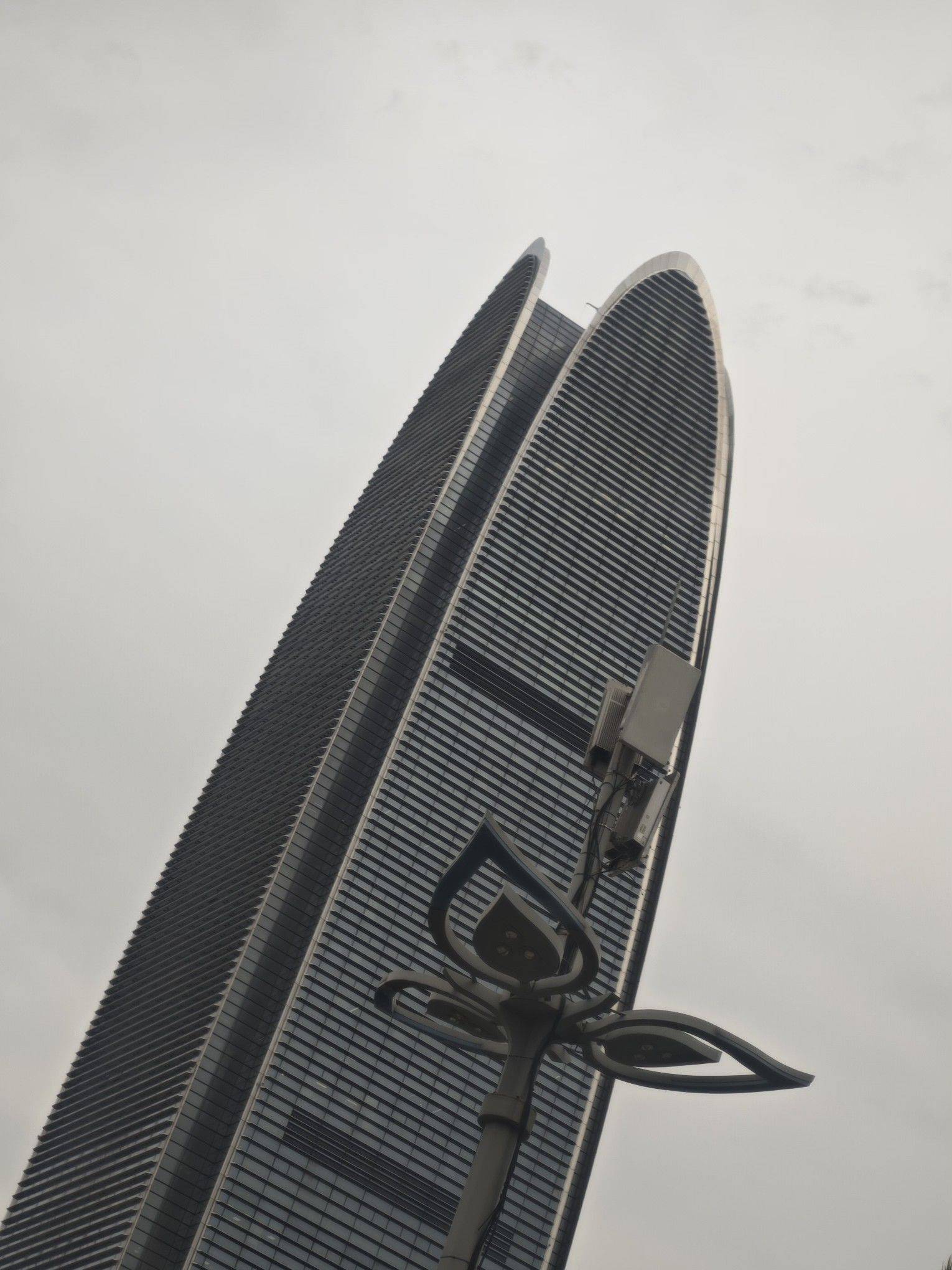 这大厦像不像含苞待放的花蕊？